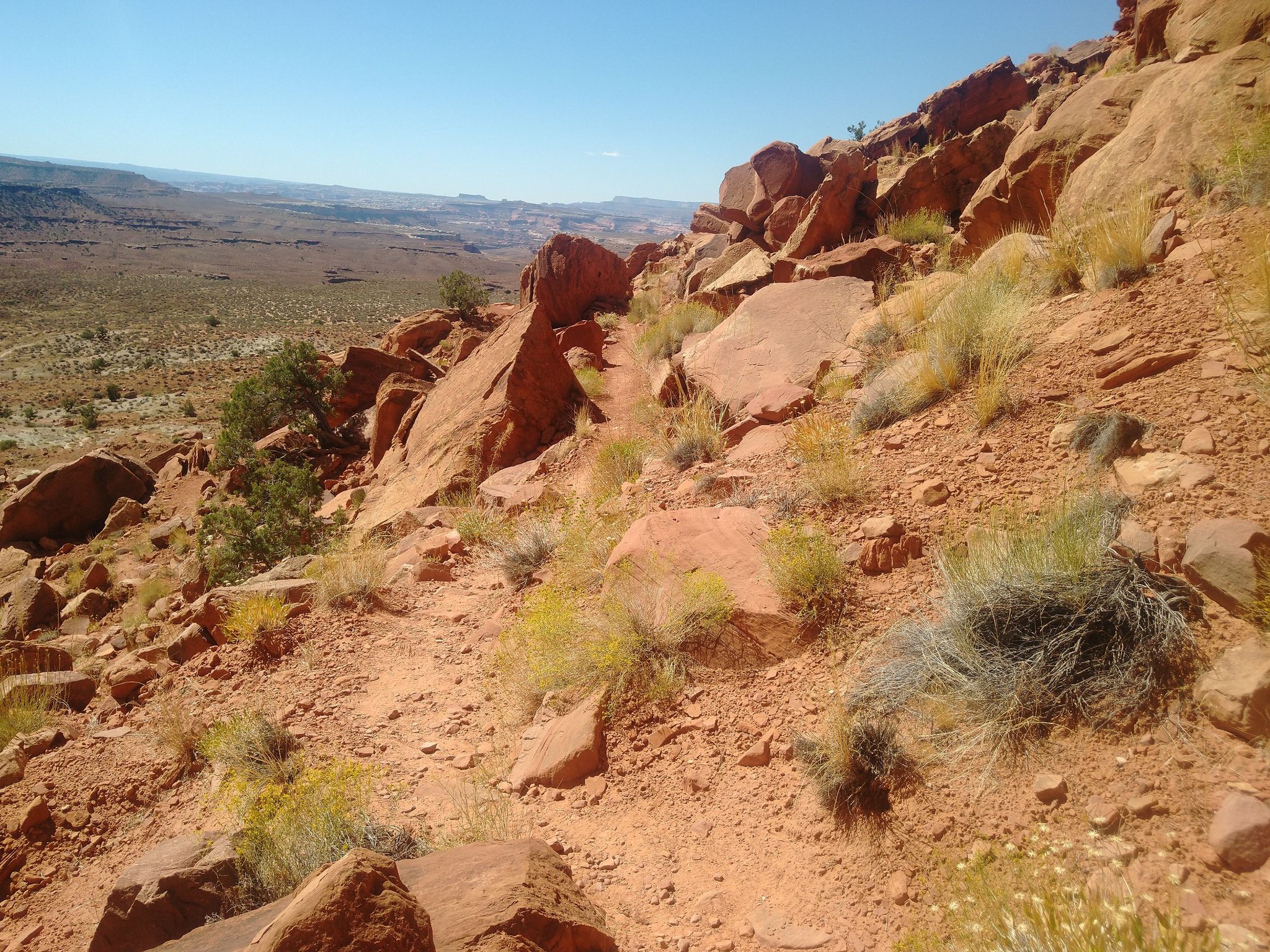 Rocky desert trail ascending a red rock hillside under clear sky. - Murphy Trail Loop