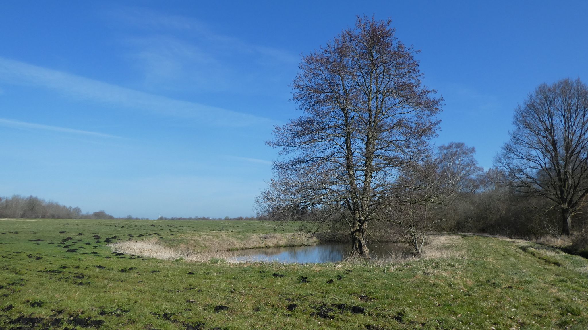 Bargstedter Moor