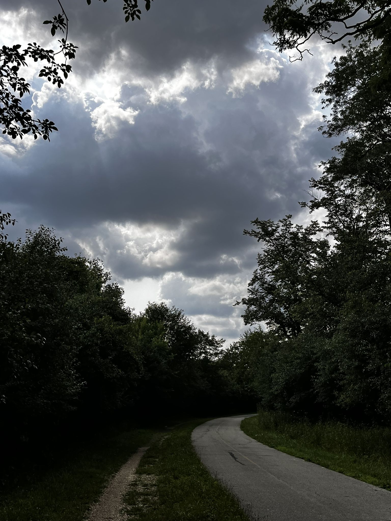 Curved path through dark woods under a dramatic, cloudy sky. - Skokie Lagoons – North Branch Red Paved Trail loop from Regina Dominican High School