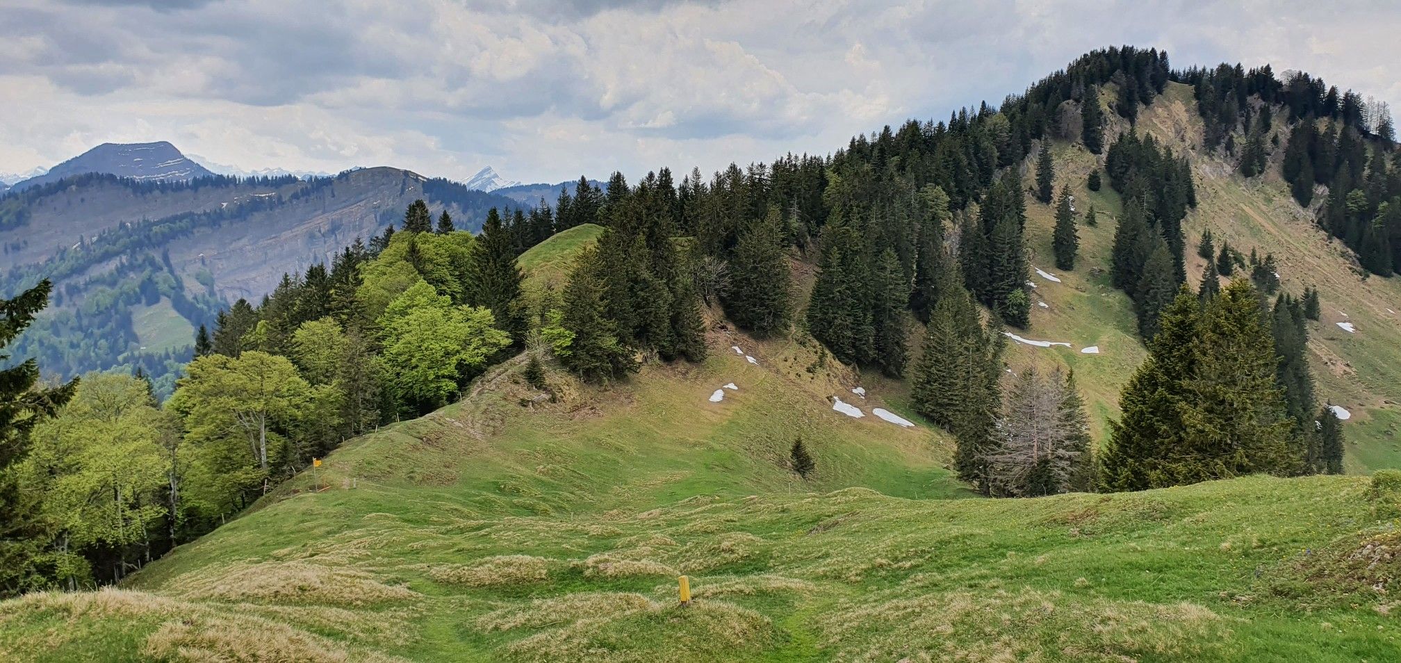 Hinab zur Petersalp