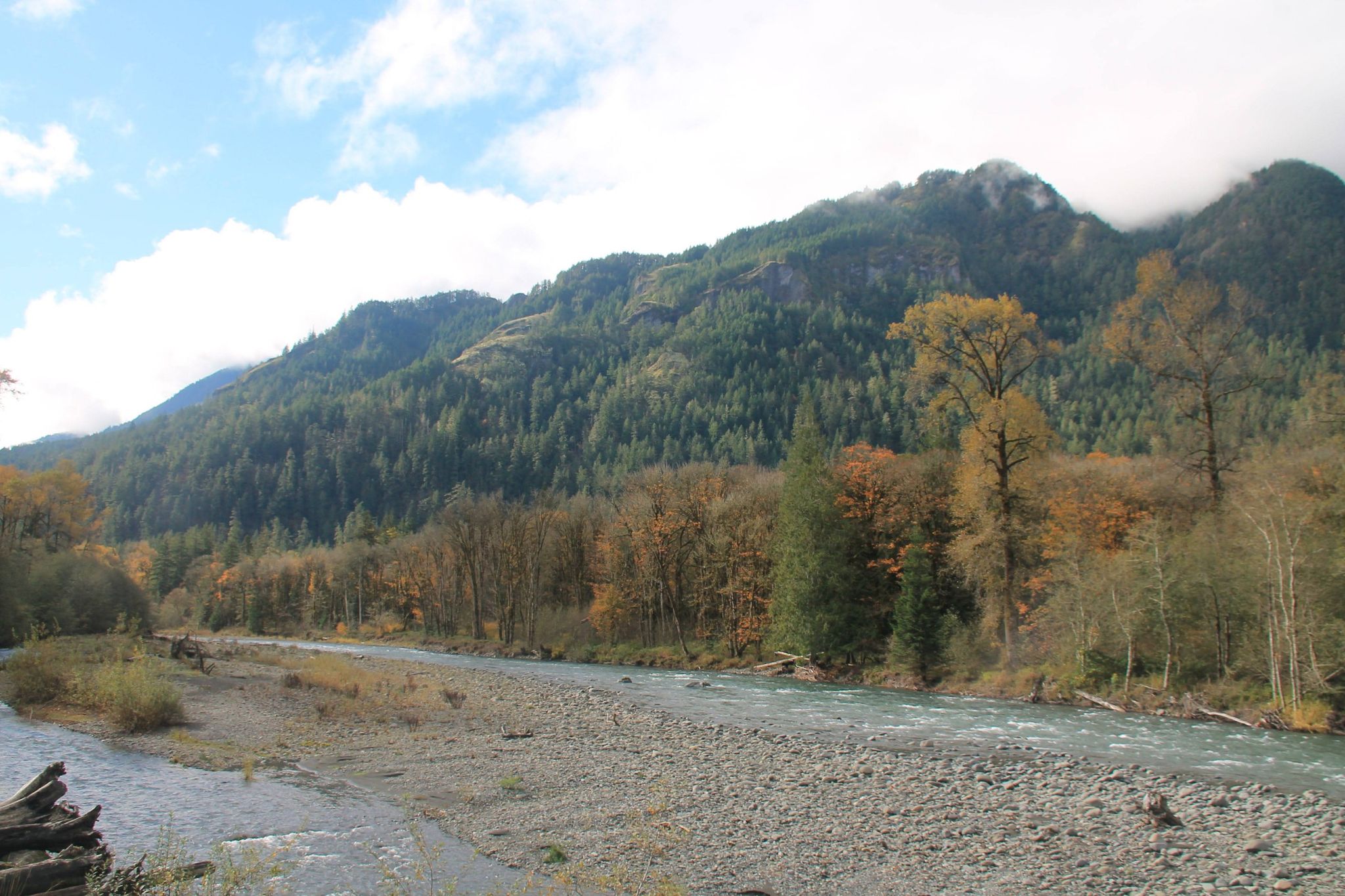 Wide riverbed with autumn trees and forested mountains under a cloudy sky. - Madison Creek to Glines Canyon Spillway Overlook