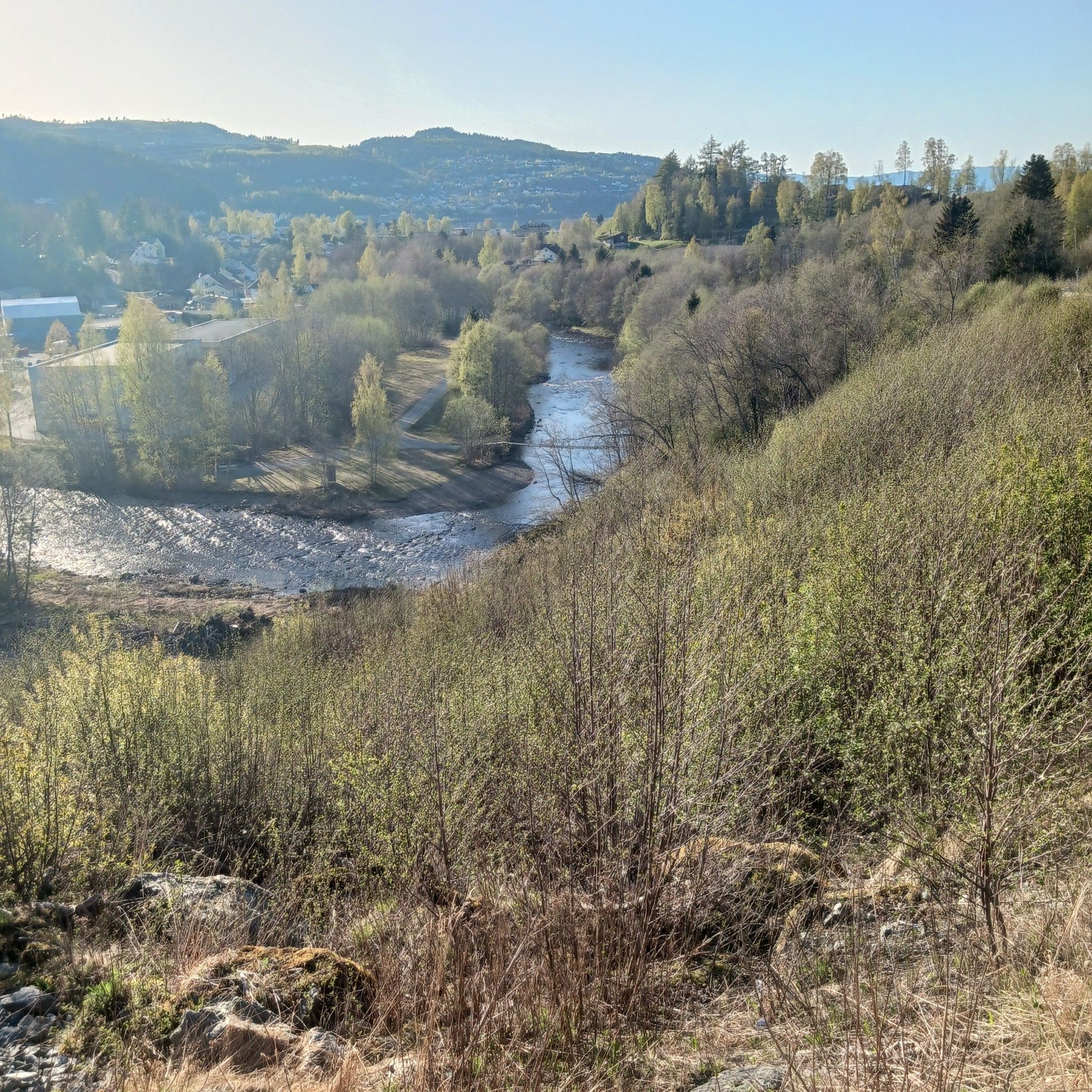 homelvik