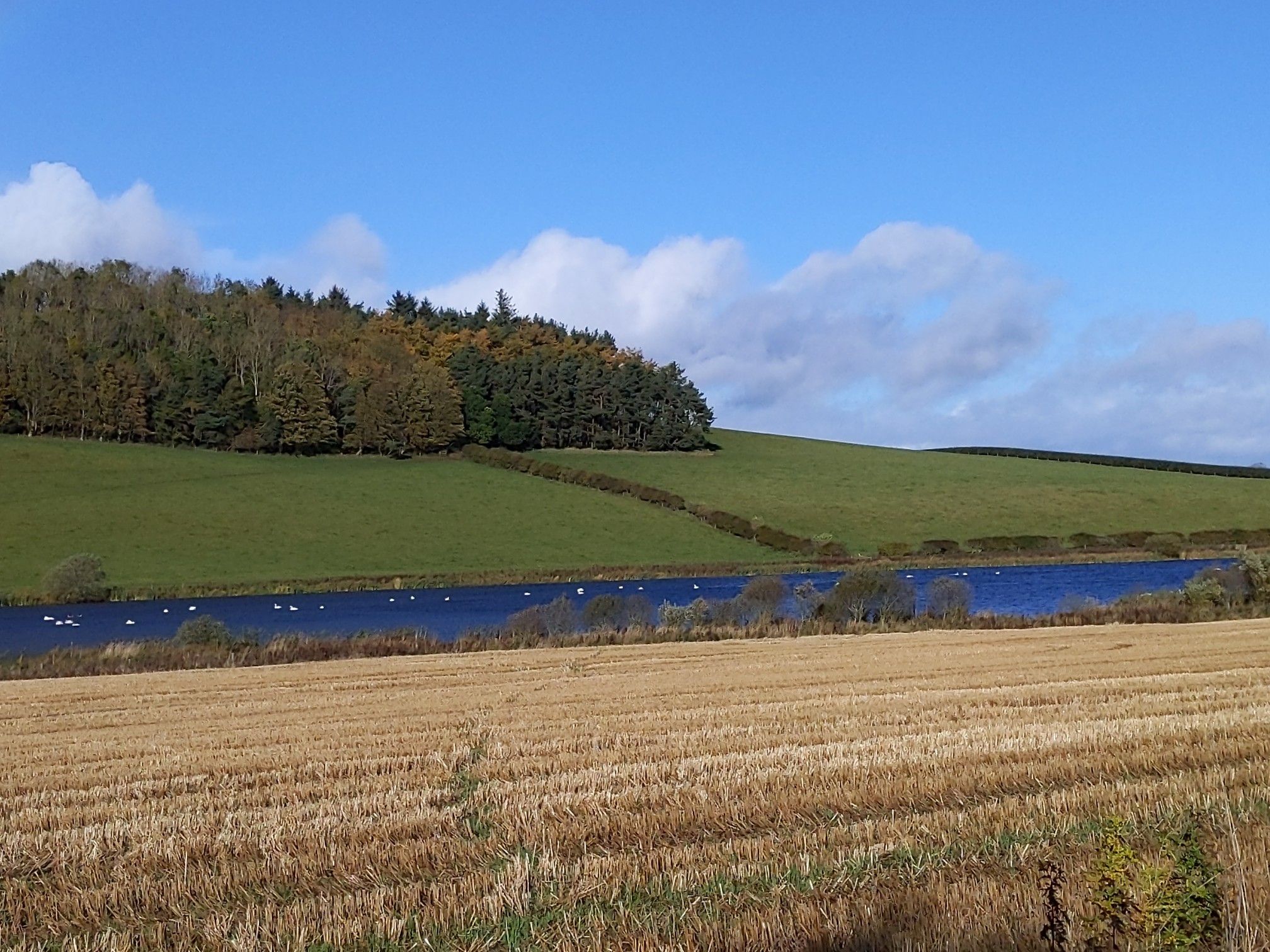 Folly Loch