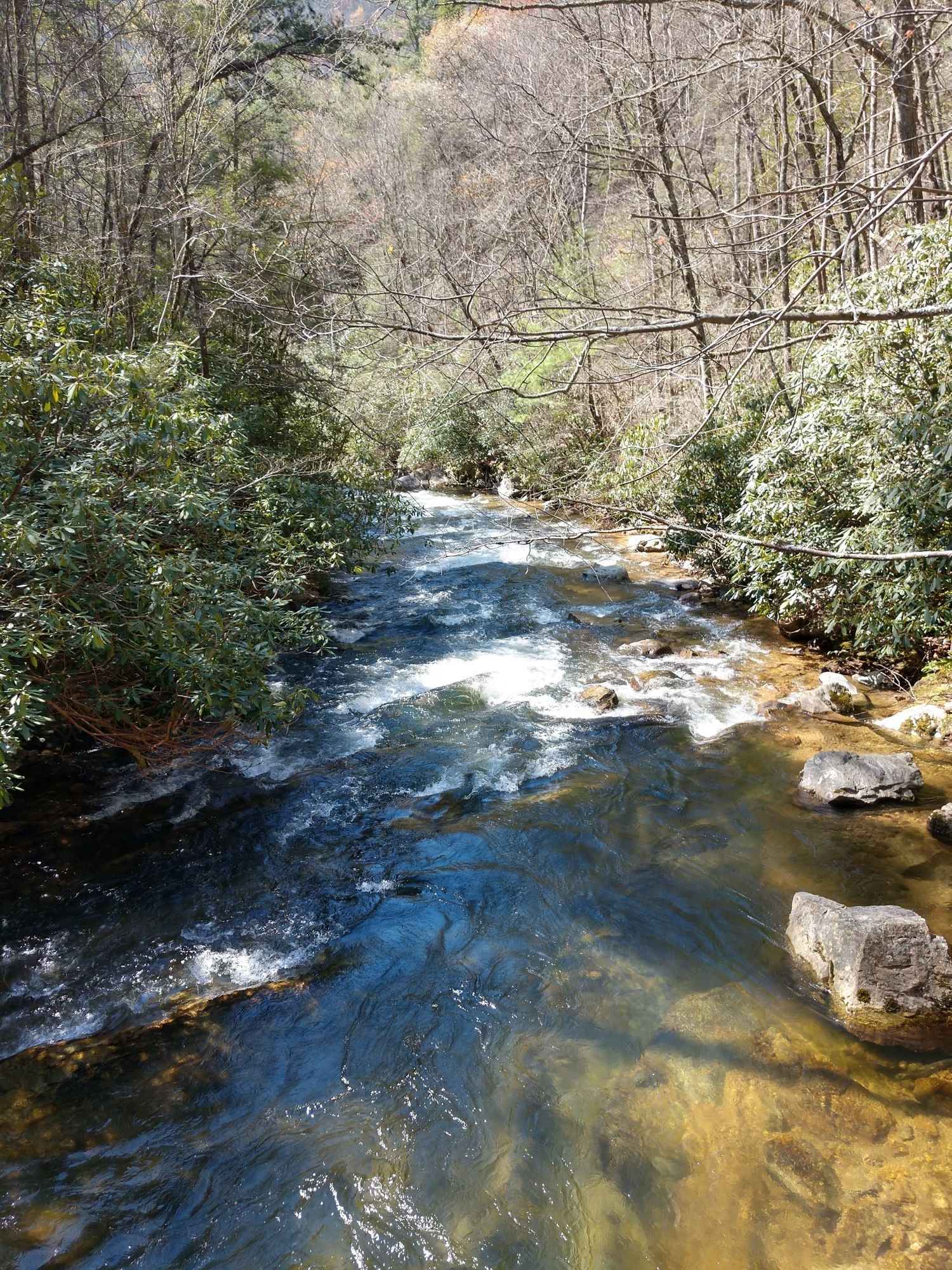 A clear, sunlit river flows through a wooded landscape with rocks. - Laurel Falls via Appalachian Trail