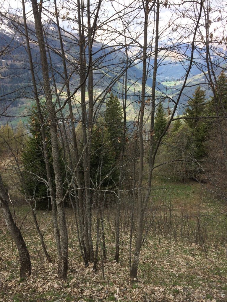 Vue vallée 