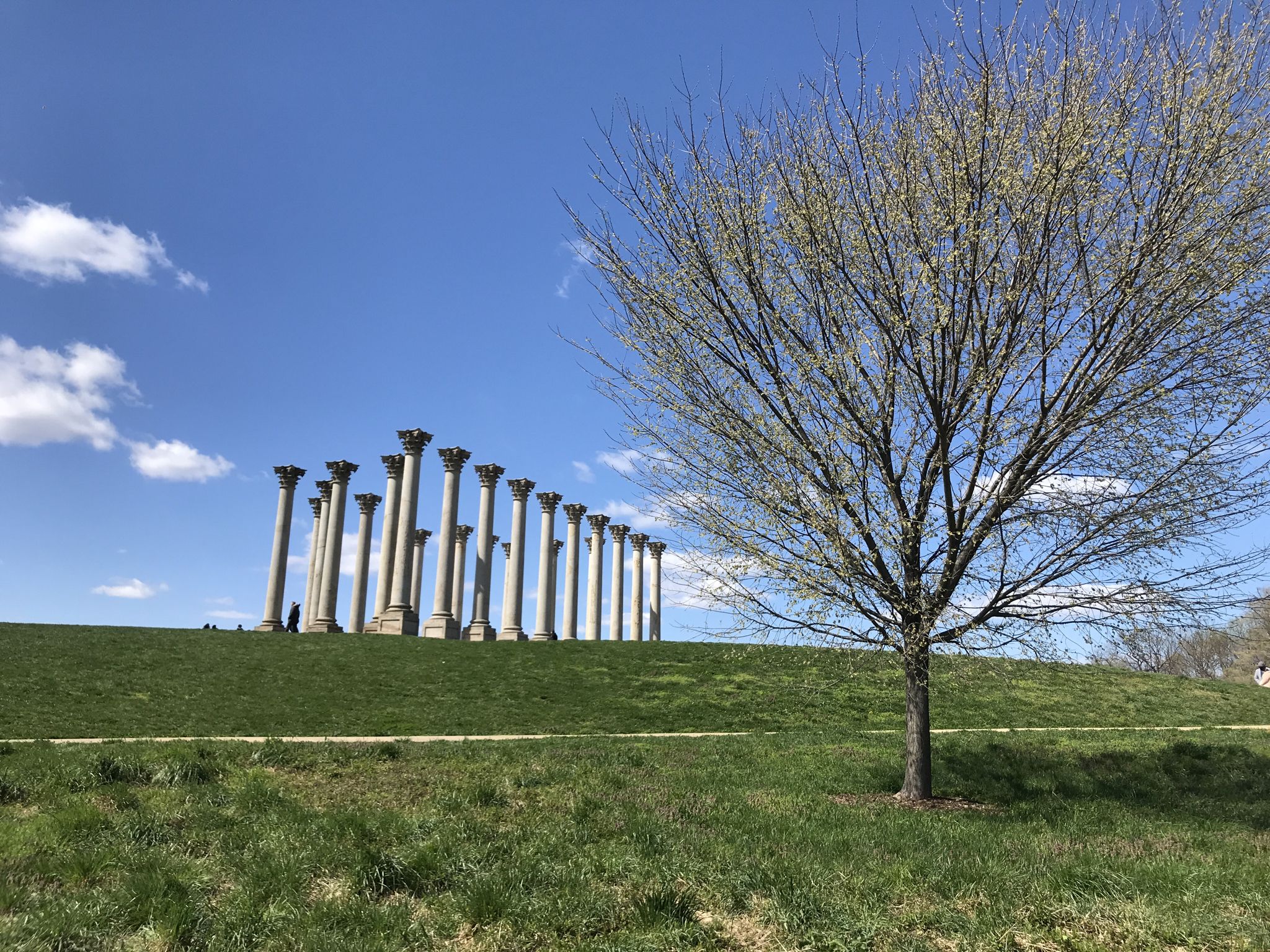 Stone columns on a green hill next to a budding tree under a blue sky. - Hickey Hill – National Capitol Columns loop from Stadium–Armory