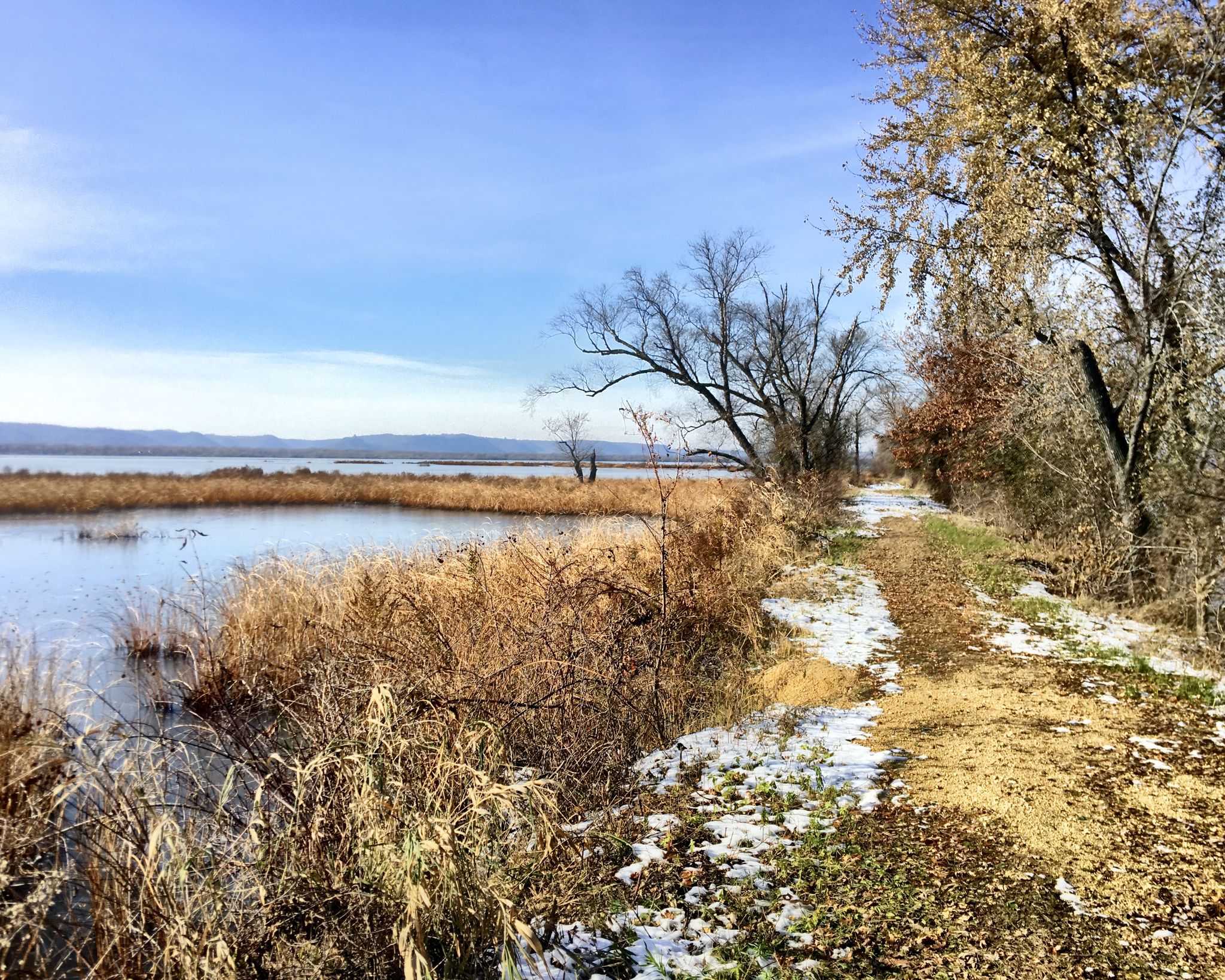Sunny view of a wetland with a snowy dirt path and bare trees. - Pine Creek Dike and Woods Trail Loop