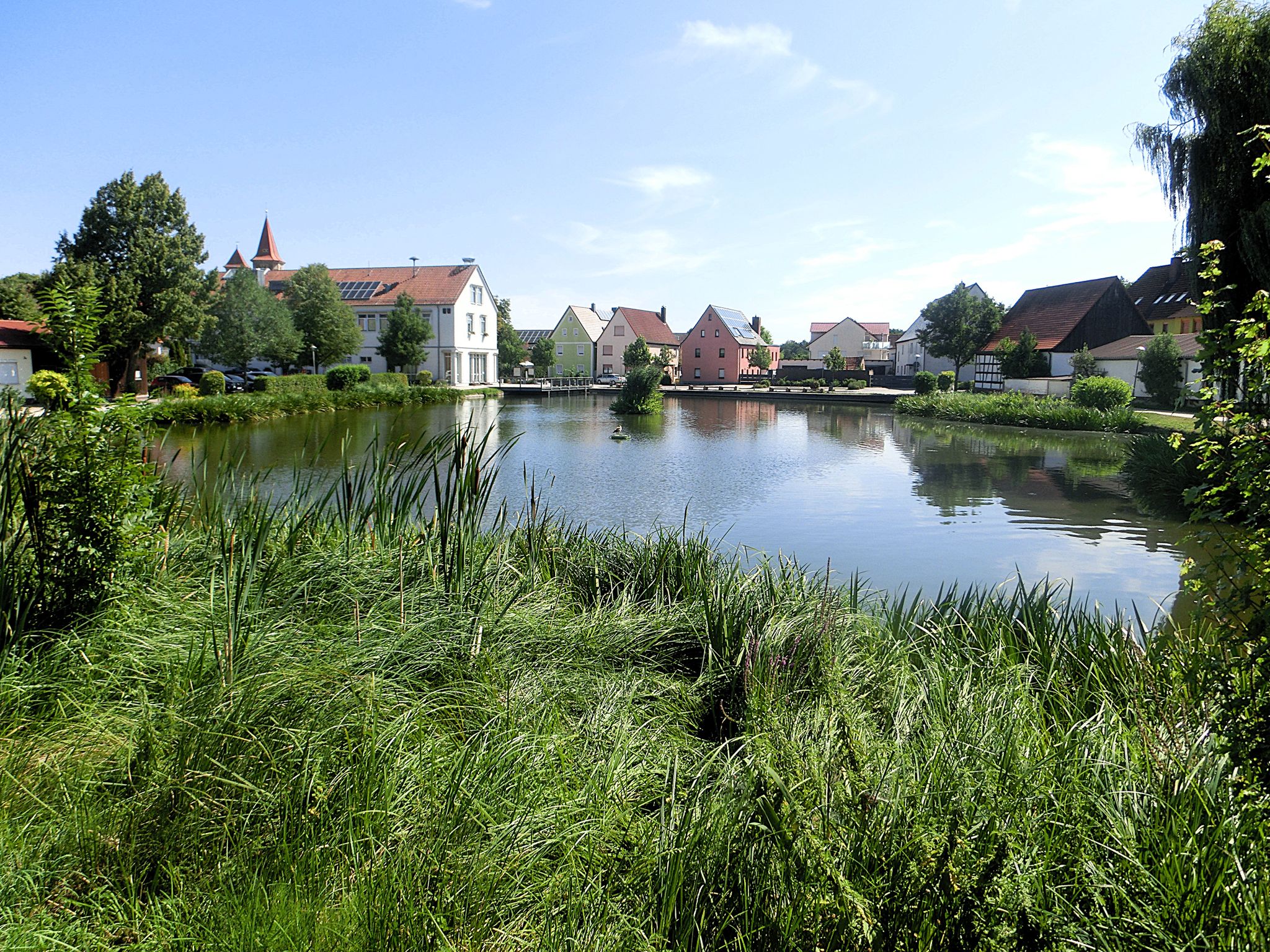 Dorfweiher von Büchenbach