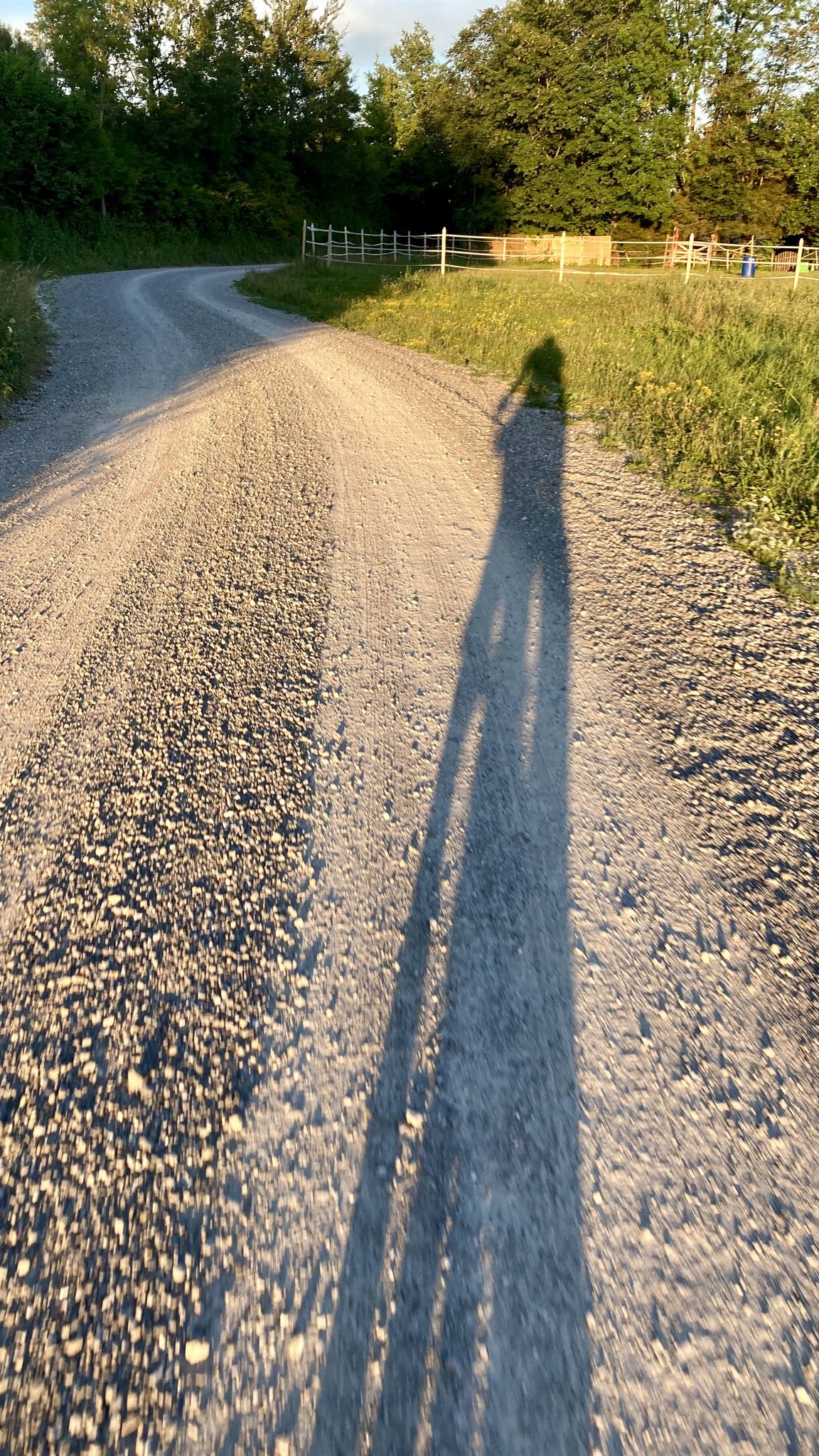 lange Schatten kurz vorm Ammersee bei Windach – oder war es Ach-Wind ?