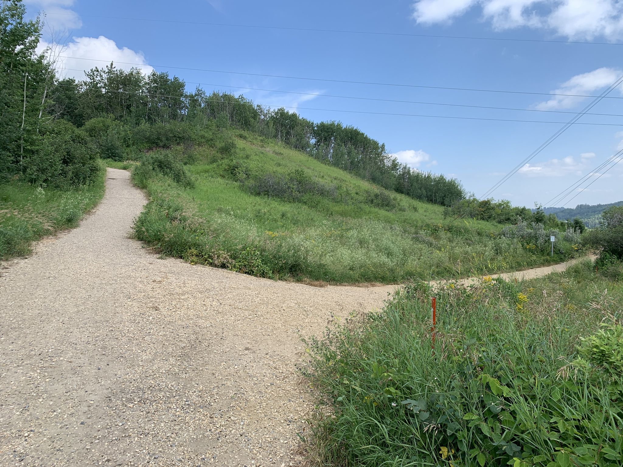 Trail splits here