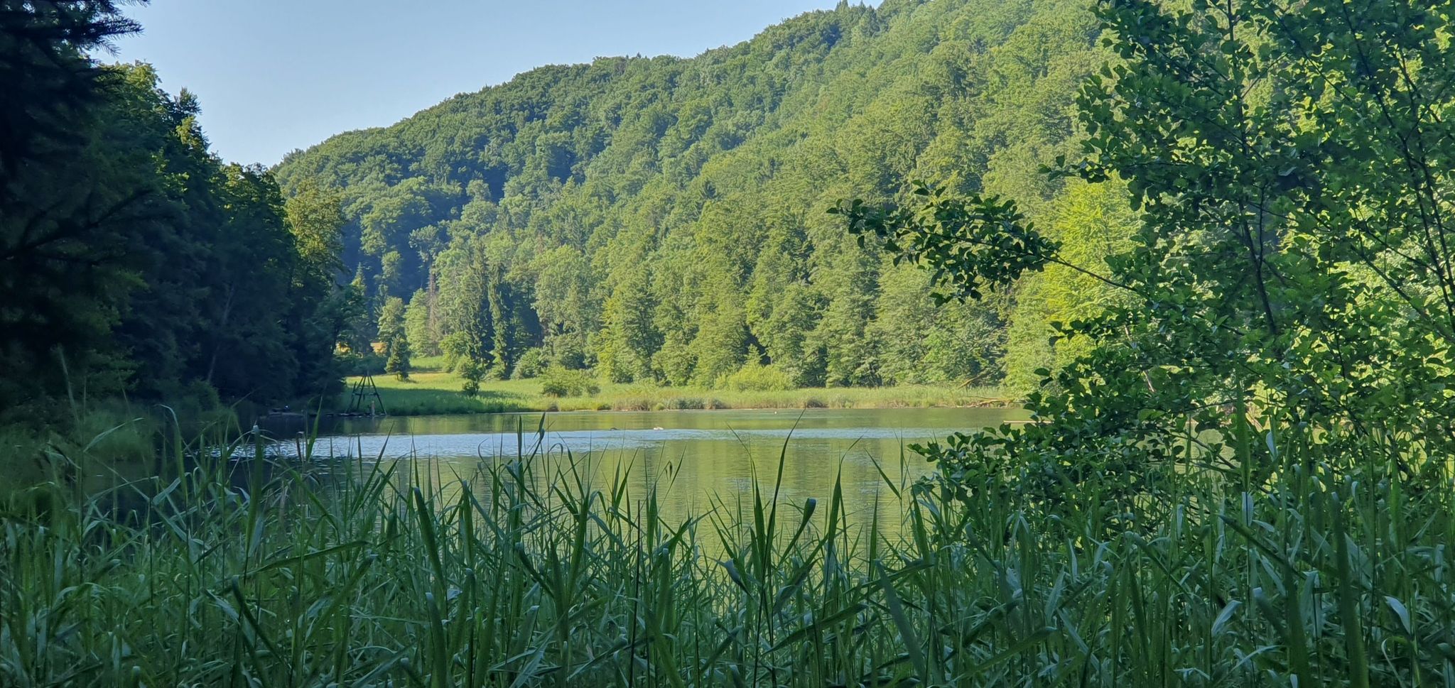 Egelsee