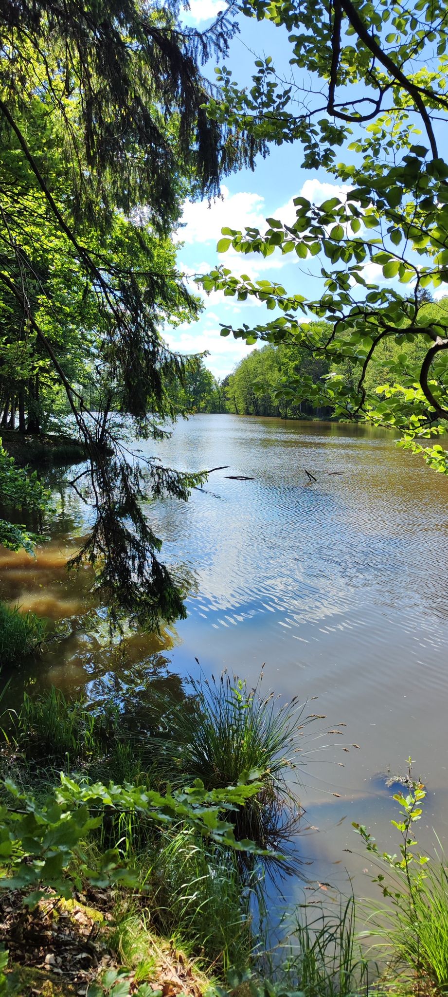 Leitenweiher von der anderen Seite