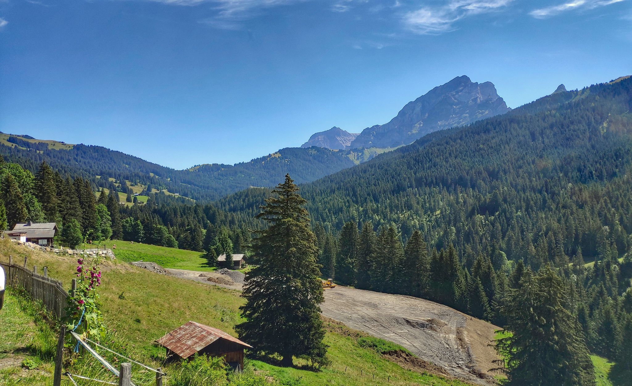 Die ersten 1'000 Höhenmeter sind geschafft. Steigung immer noch gering. Blick gegen die Passhöhe des Col de la Croix (Mitte links).