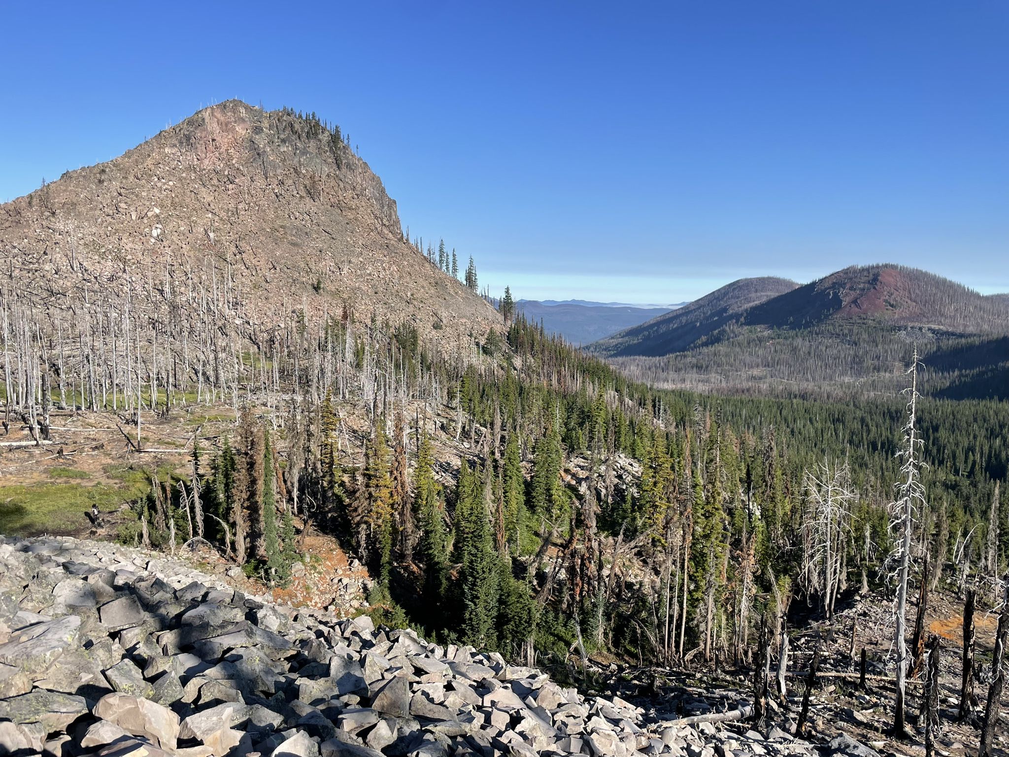Sunny mountain landscape with a rocky peak, green trees, and many dead trees. - Scout Lake via Pacific Crest Trail