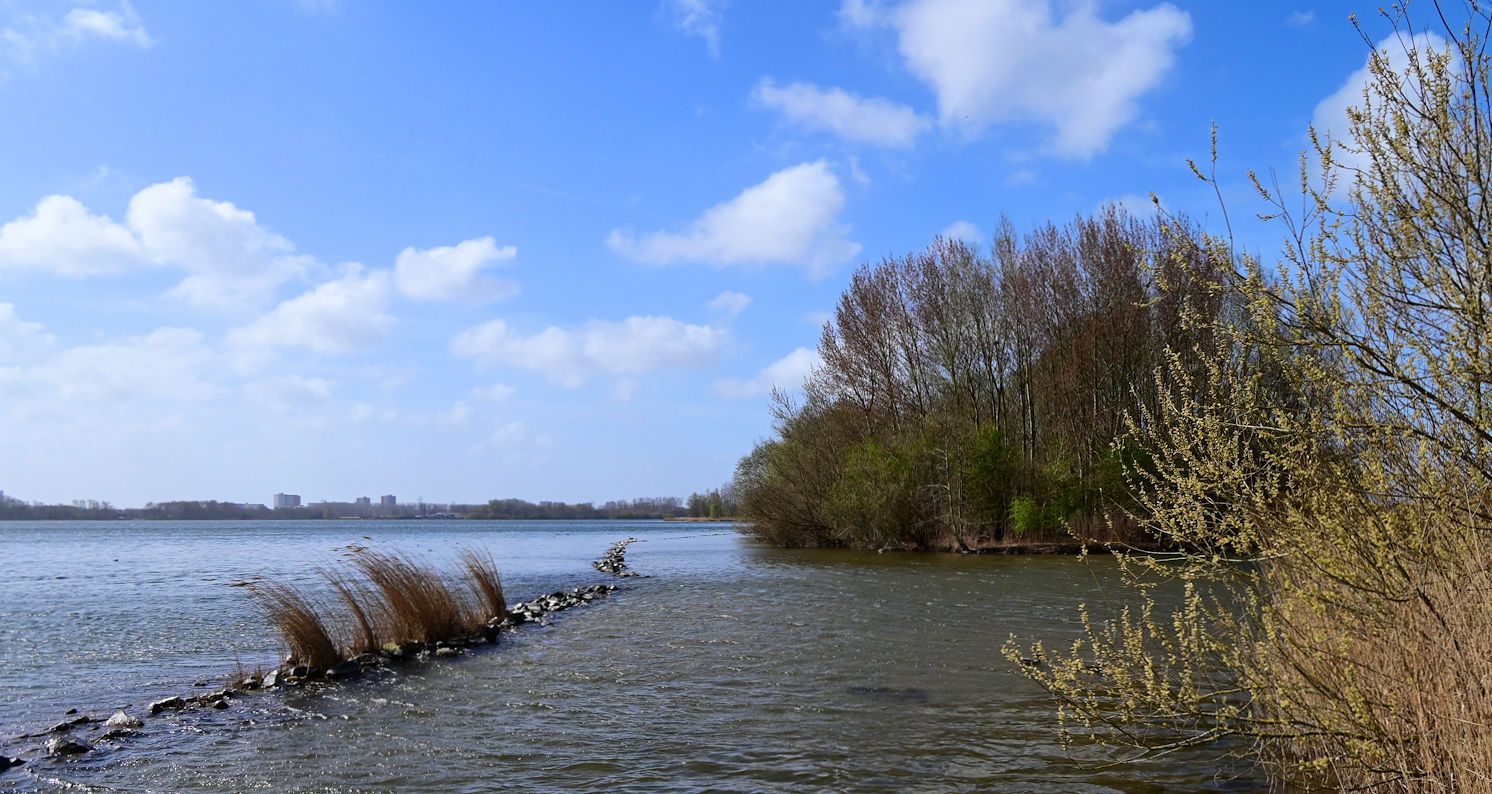 Minieilandjes in Zevenhuizerplas