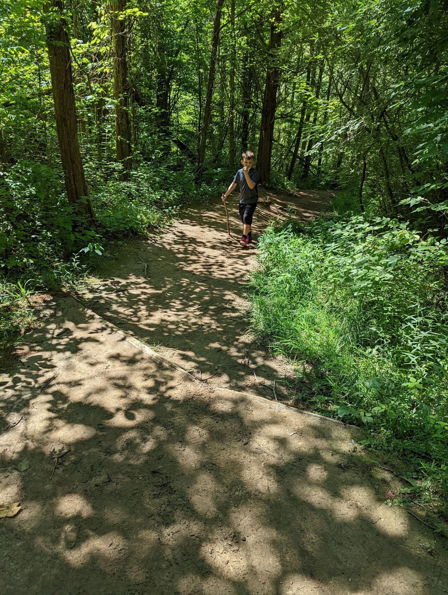 Young person walks on a sun-dappled forest path, holding a stick. - Perimeter Trail