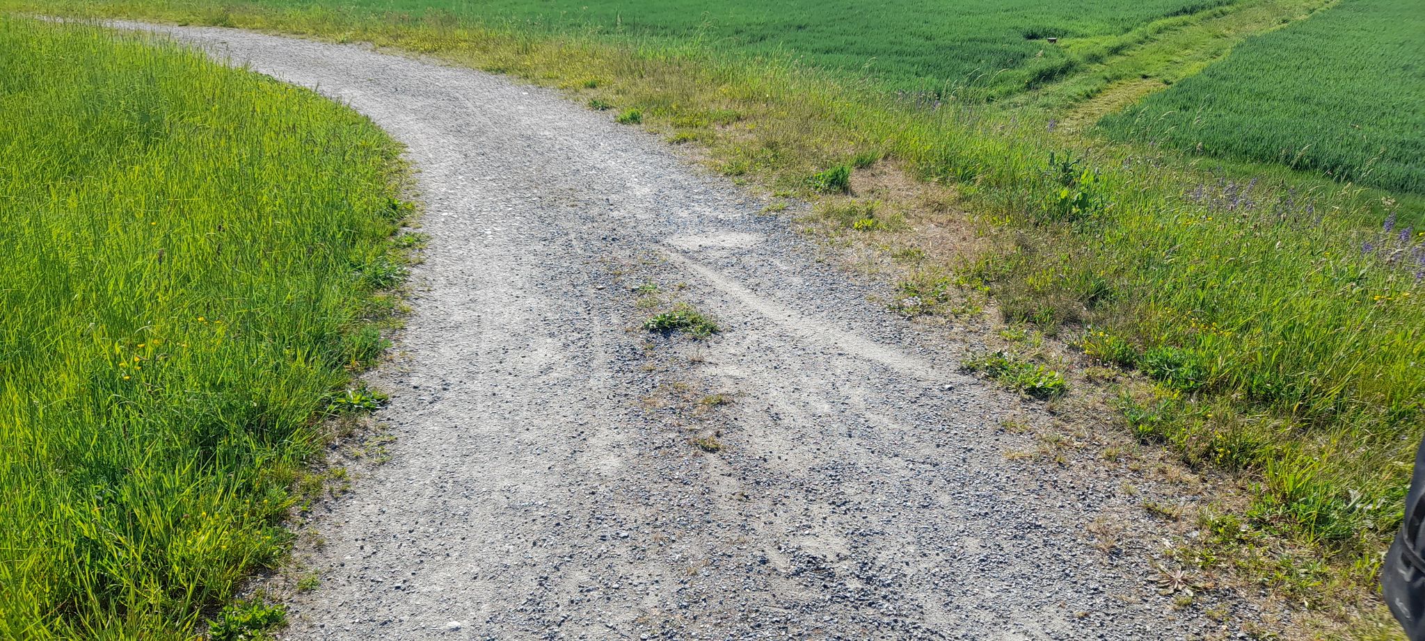Blöder Schotter.... Gestürzt.... 🚲
