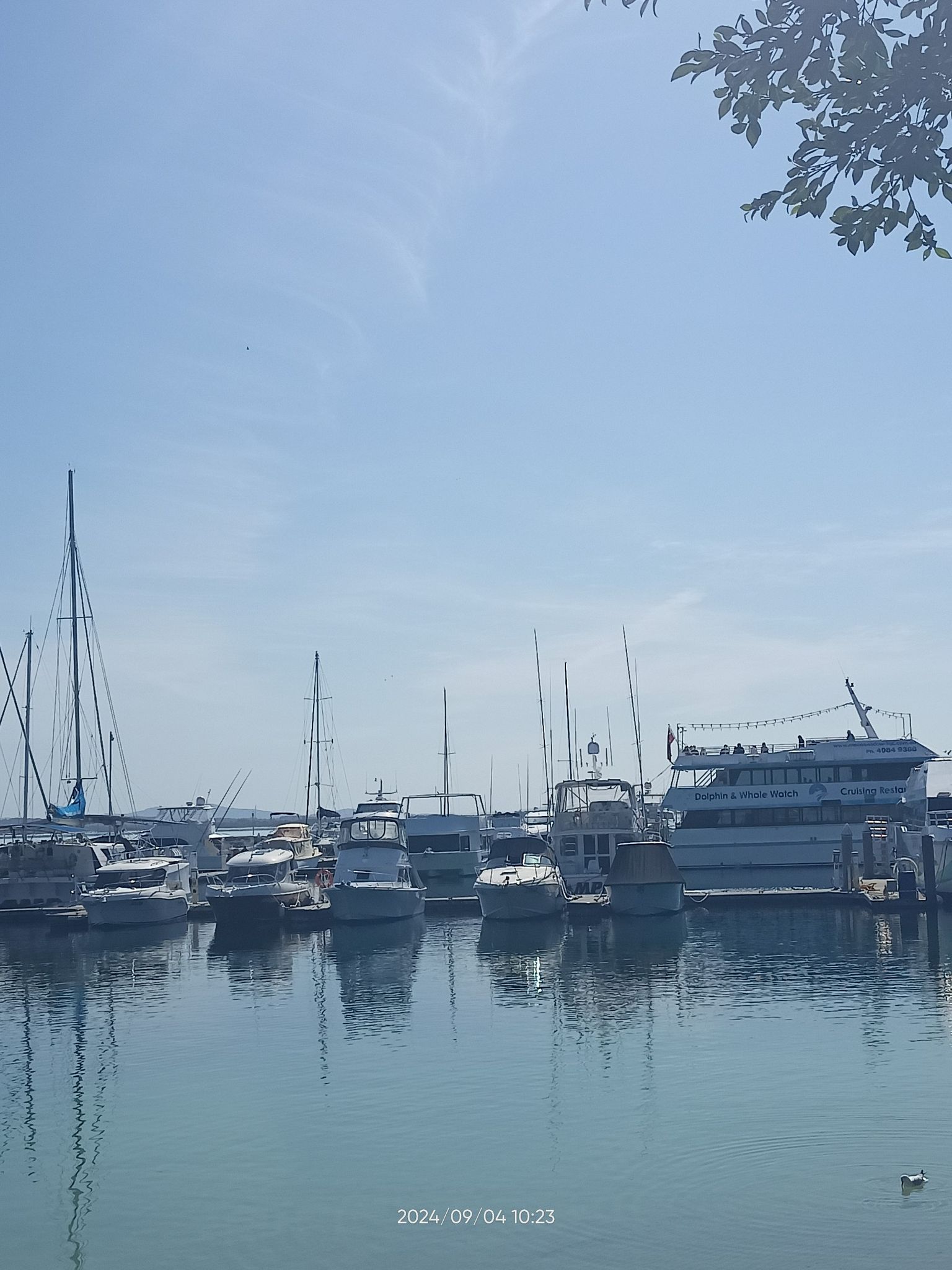 dalbora marina