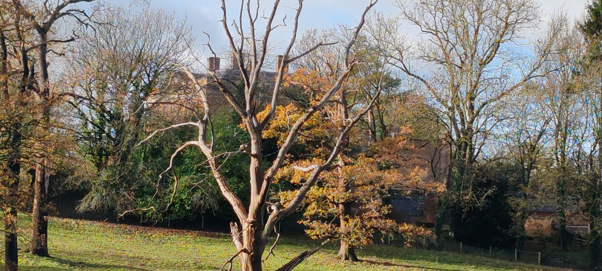 View to Radbourne Hall, Radbourne Hall Estate