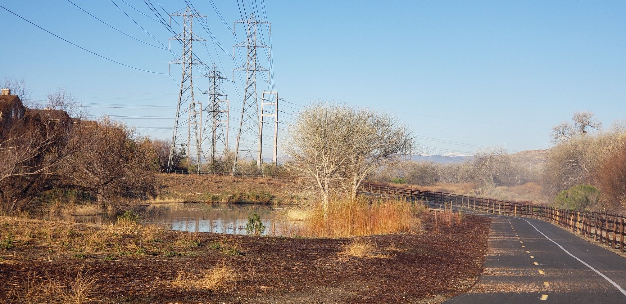 Paved path next to a small pond with power lines under a clear blue sky. - San Francisquito Creek Trail – Iron Horse Bridge loop from Princess Cruises