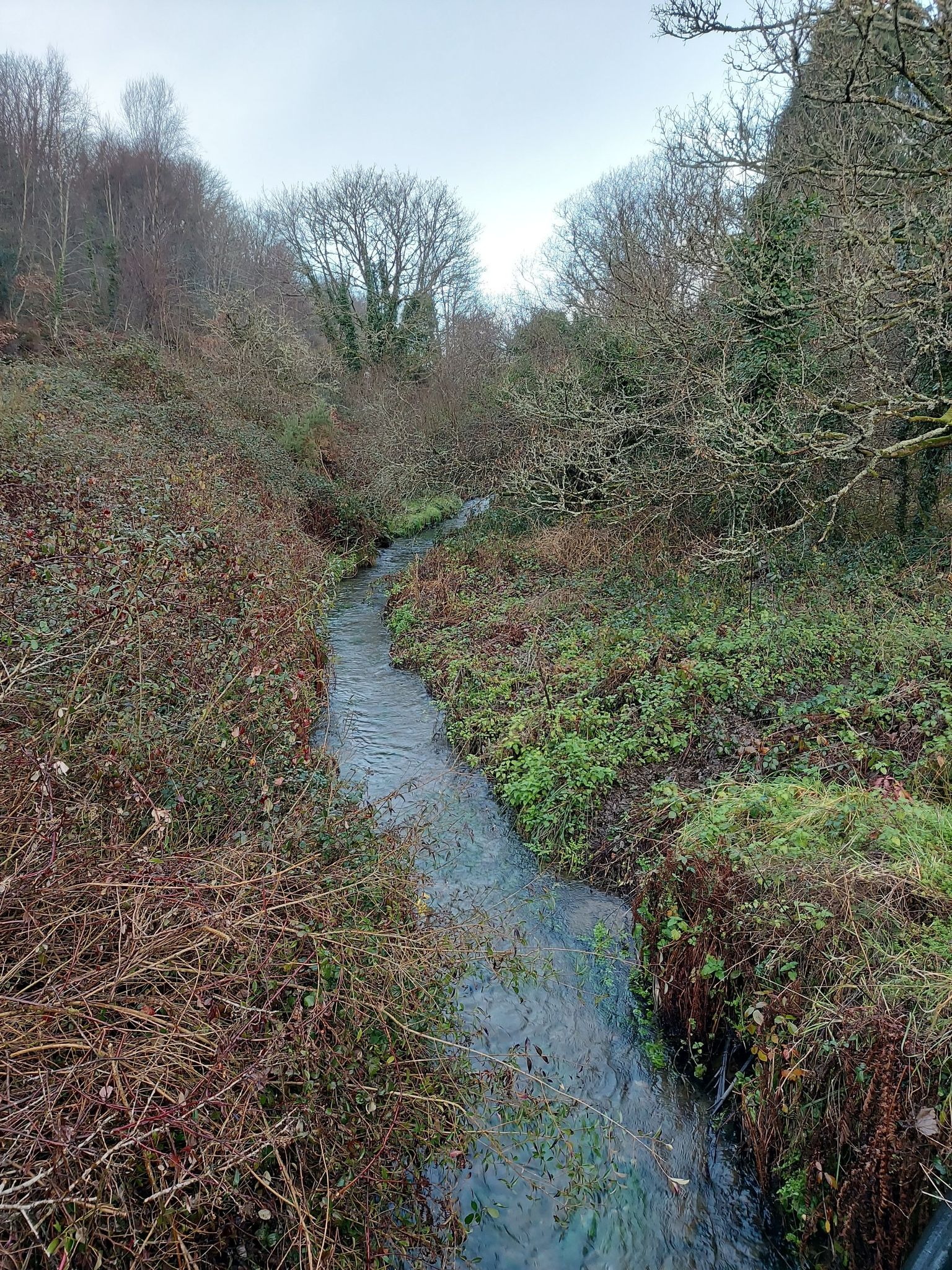 another stream