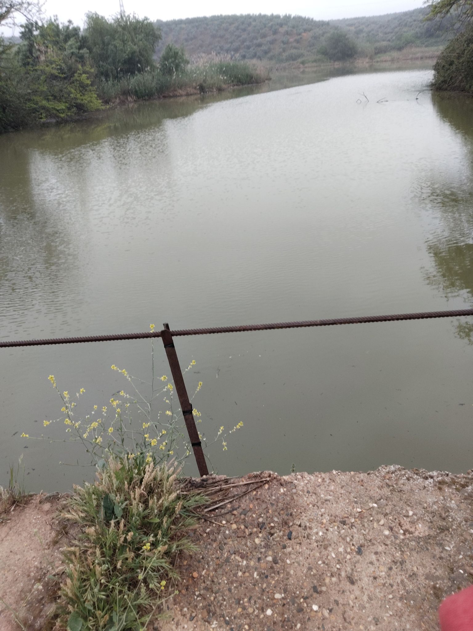 desembocadura arroyo la cuna