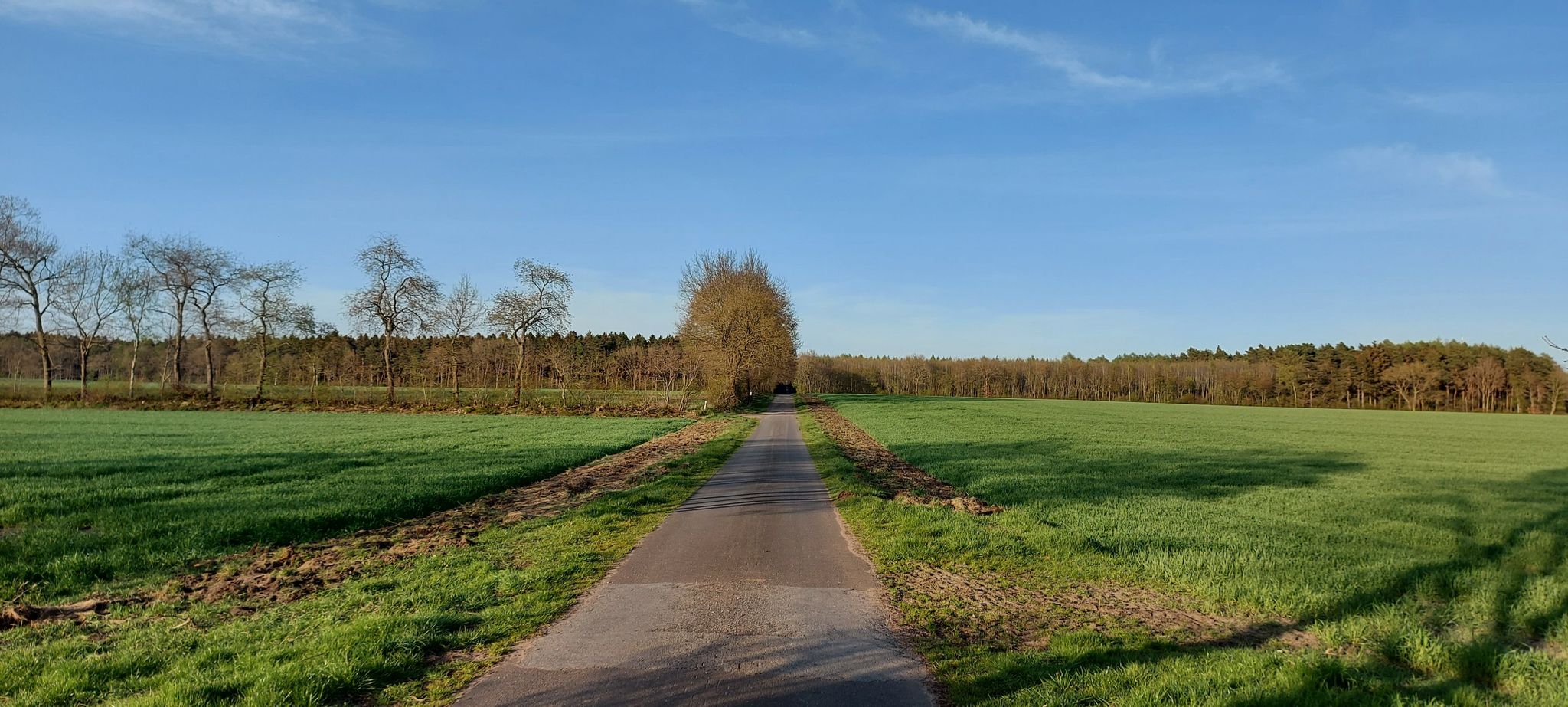 Am Egels, Richtung Sögel