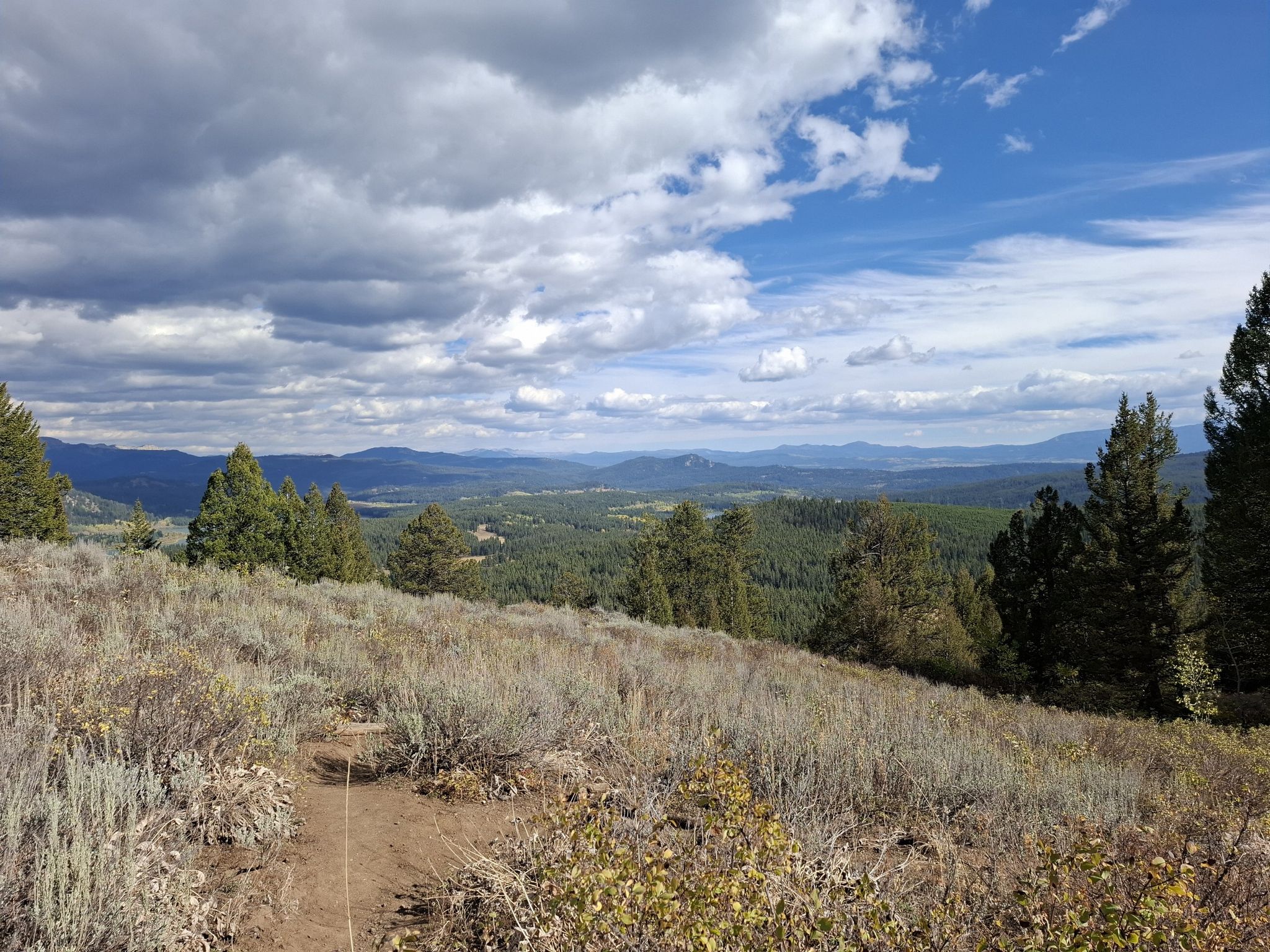 Dirt path through dry brush, leading to a vast forest and distant hills. - Grand View Point Trail