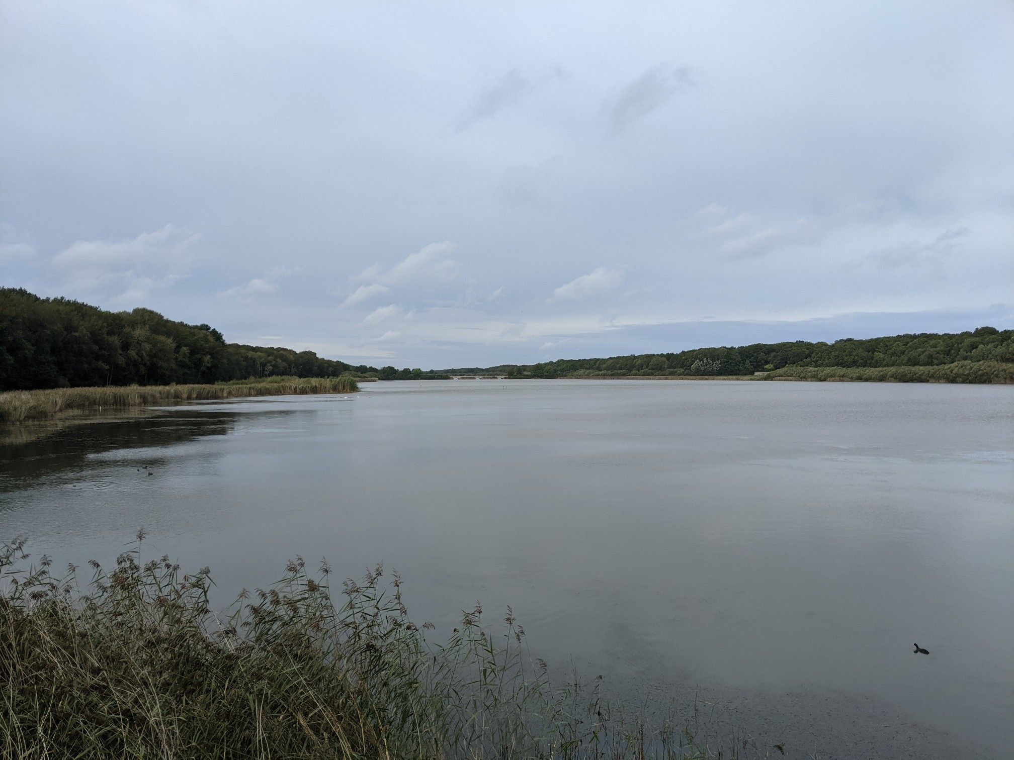 Etang de Hollande