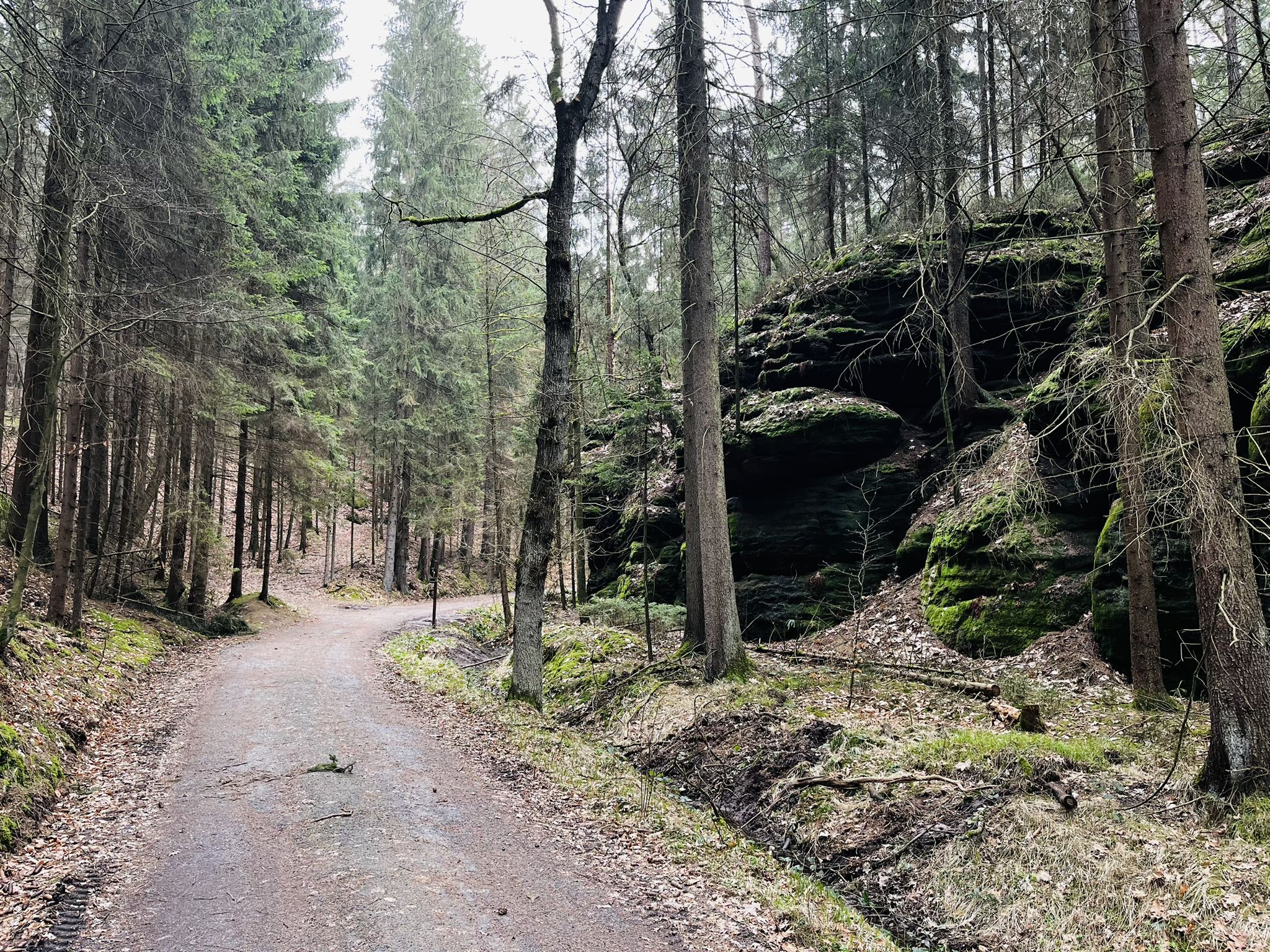 Wettinweg