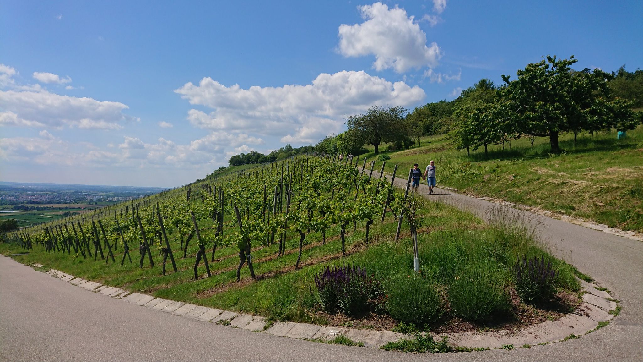 Belzberg (420m)