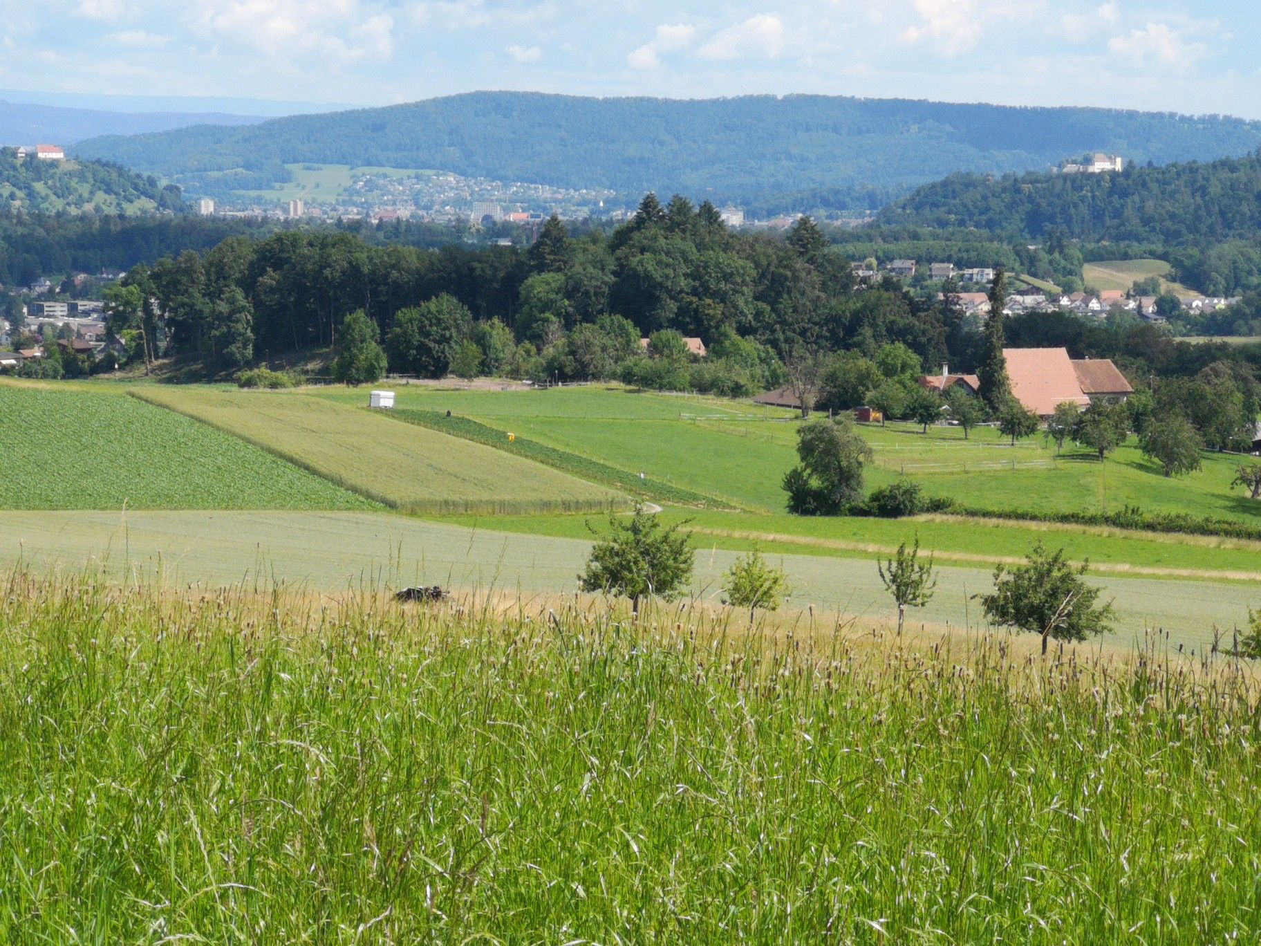 Schloss Lenzburg Kirche Staufen 