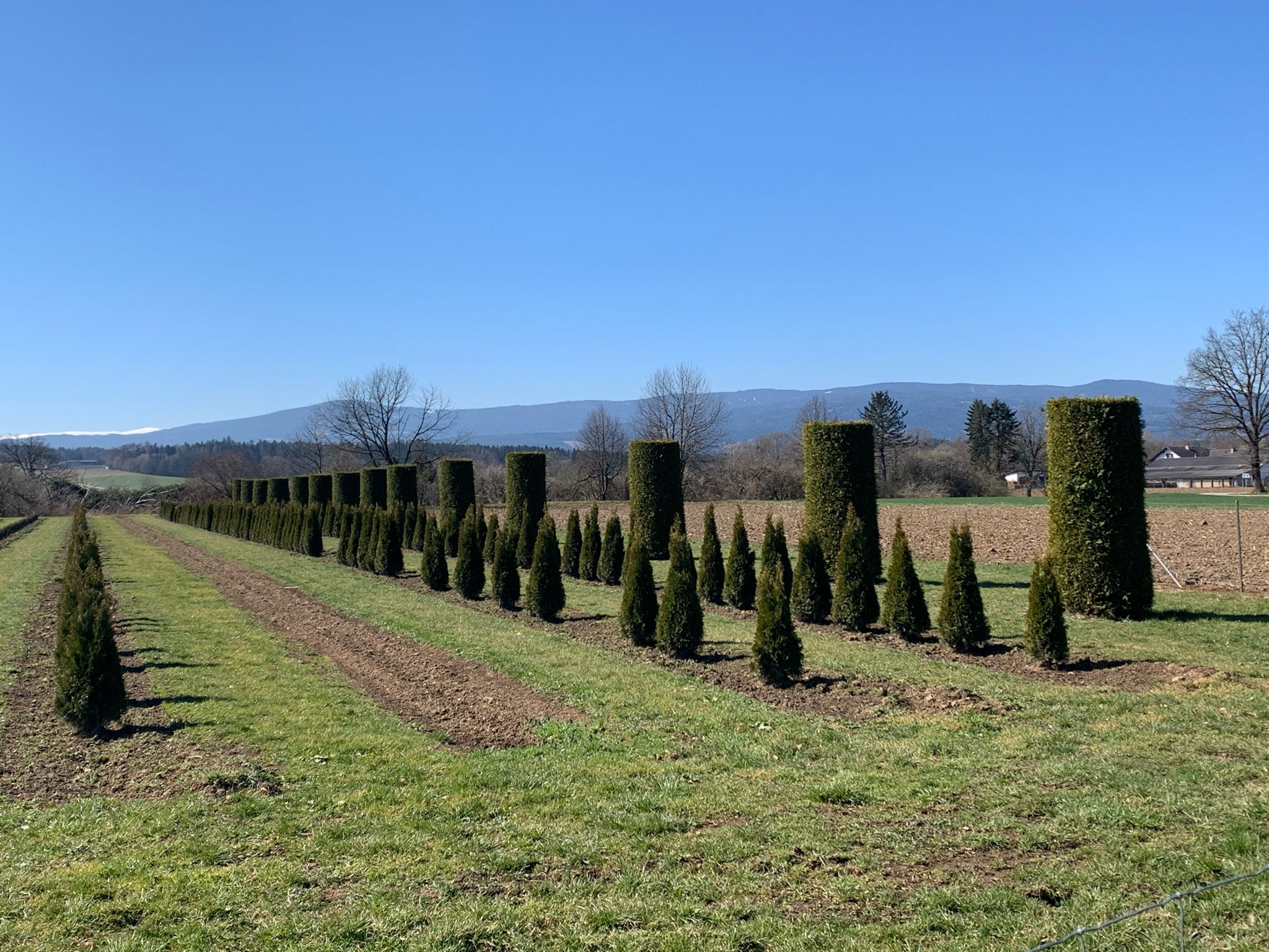 Gartenkulturen