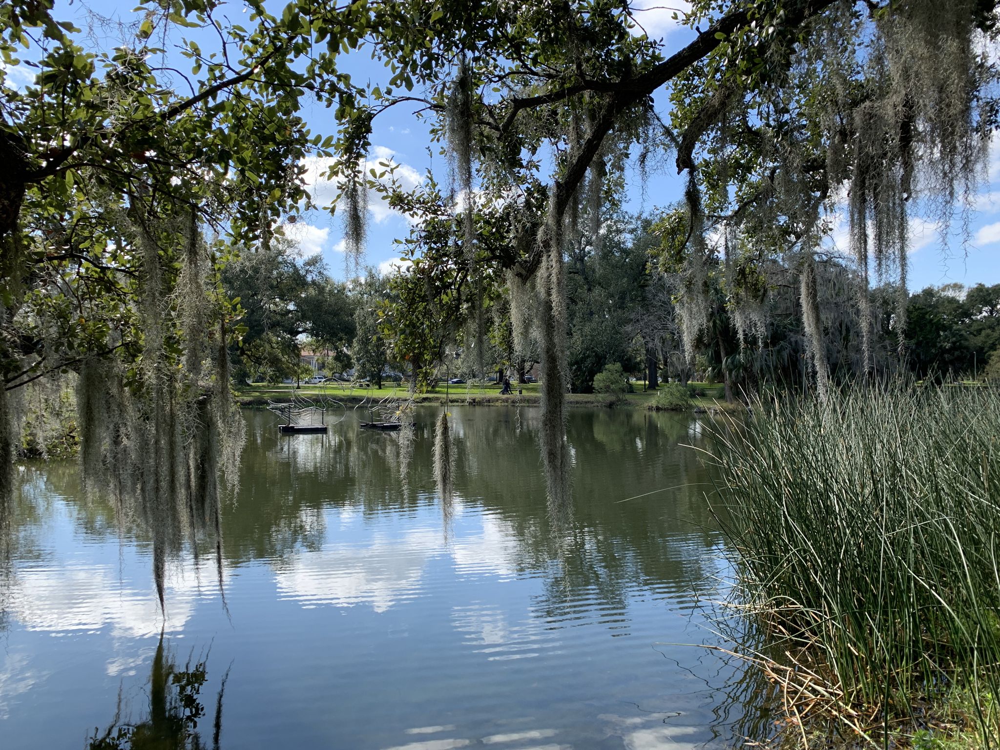 City Park