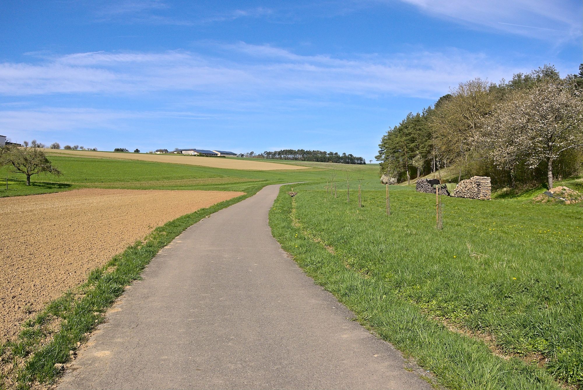 Ausfahrt aus Buchen