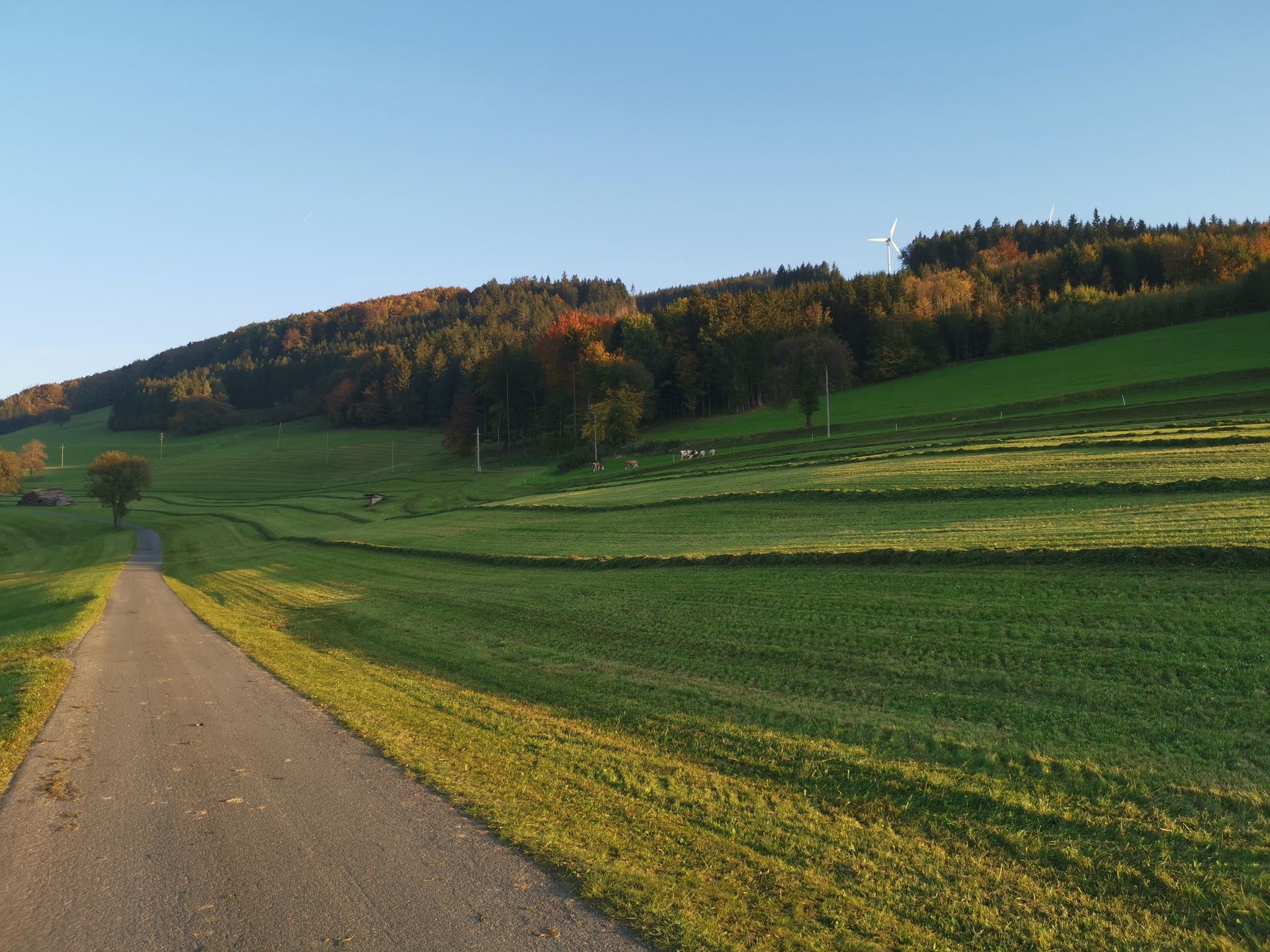 Letzter kleiner Anstieg