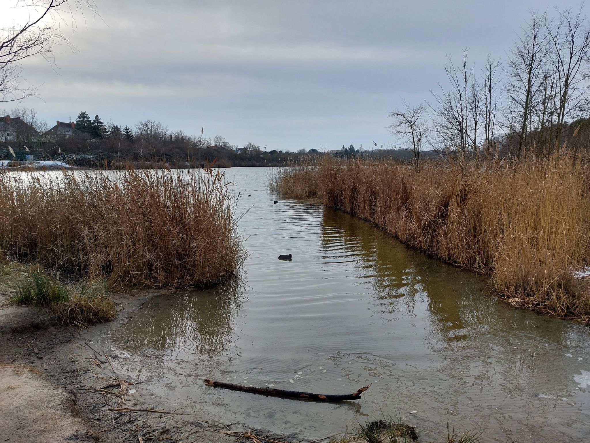 Heidesee