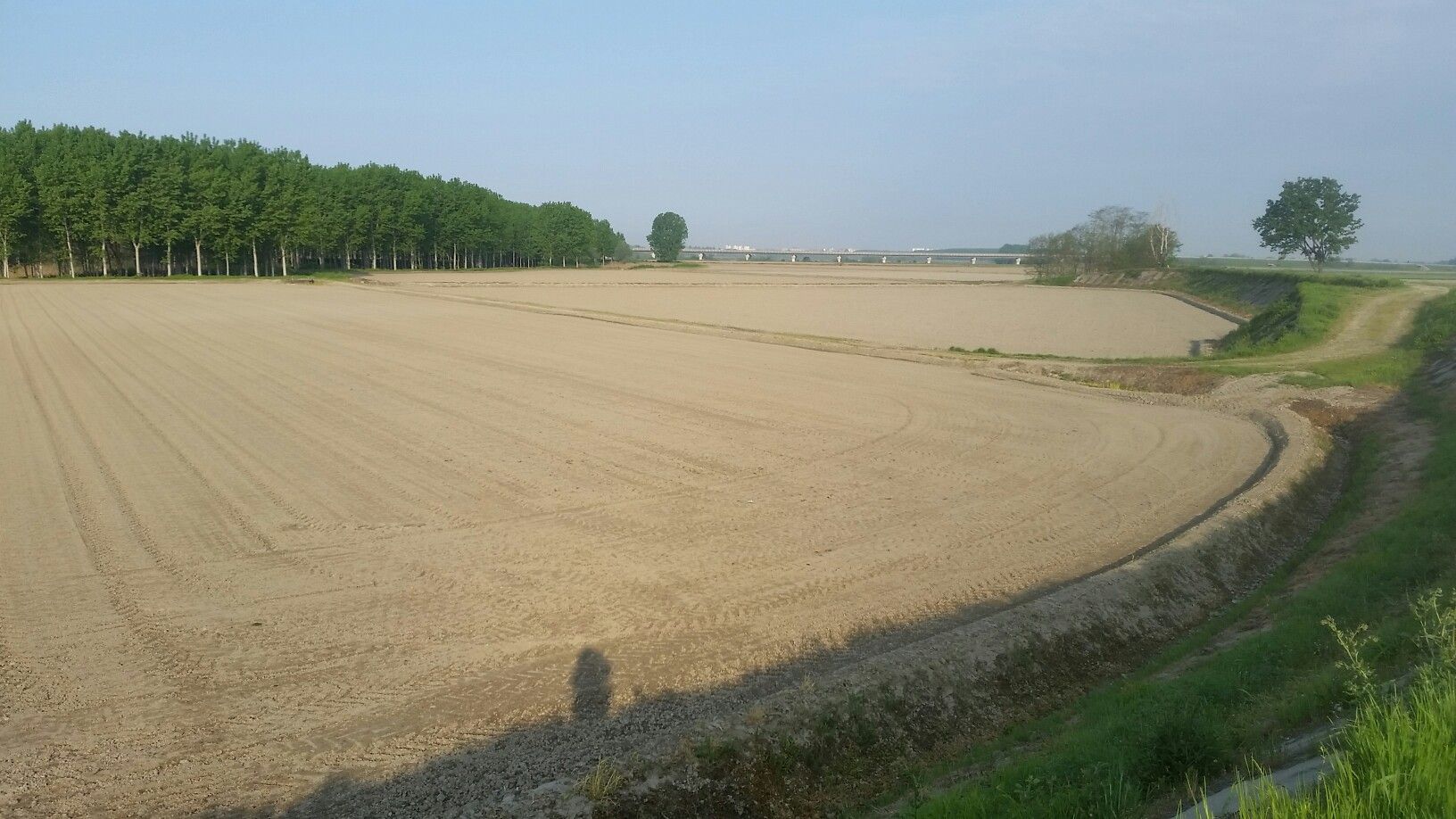 Reisfelder trocken 