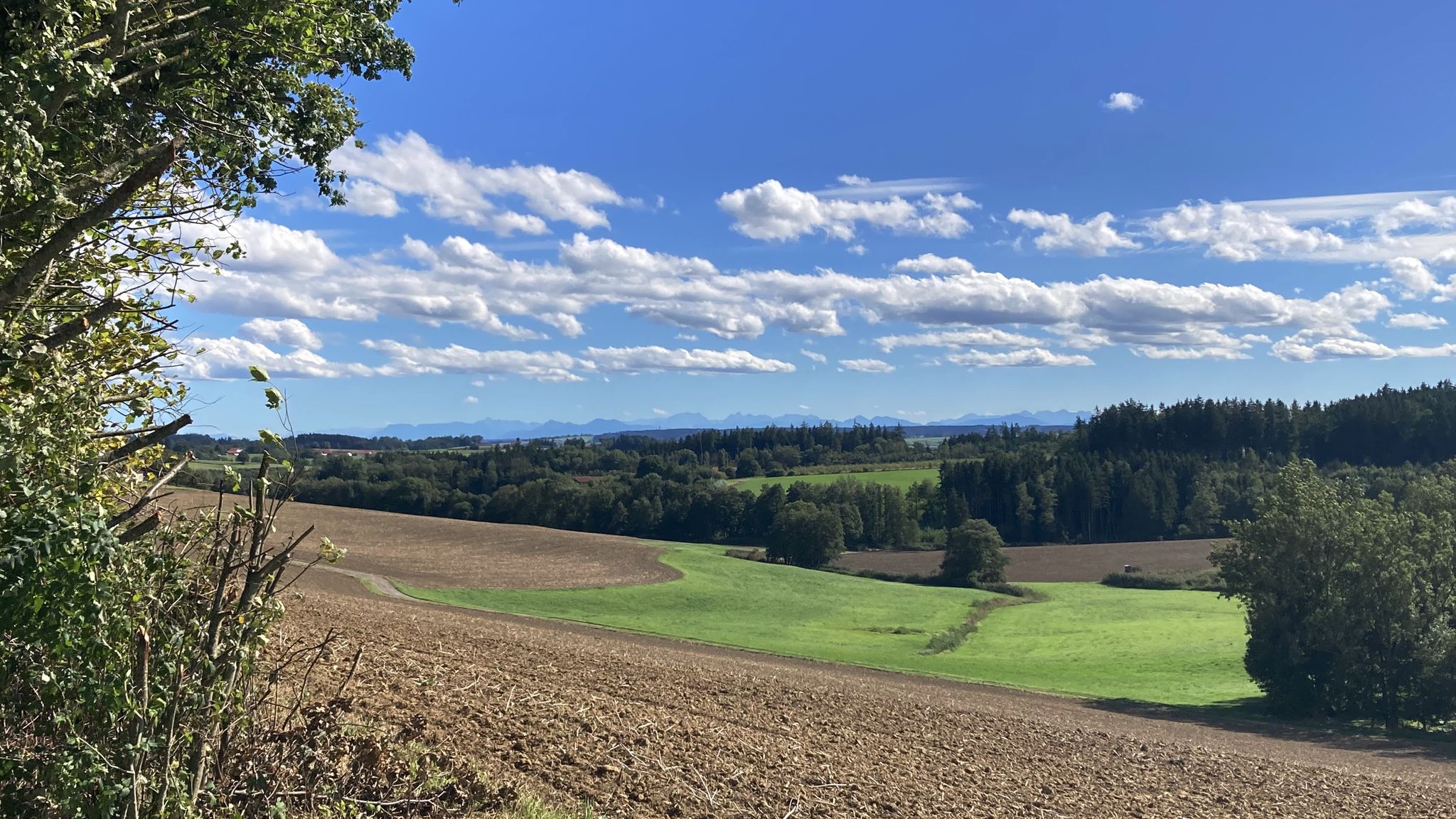 da hinten, bei den Buckeln, da muss ich auch noch ein paar Kacheln verlegen 🥵