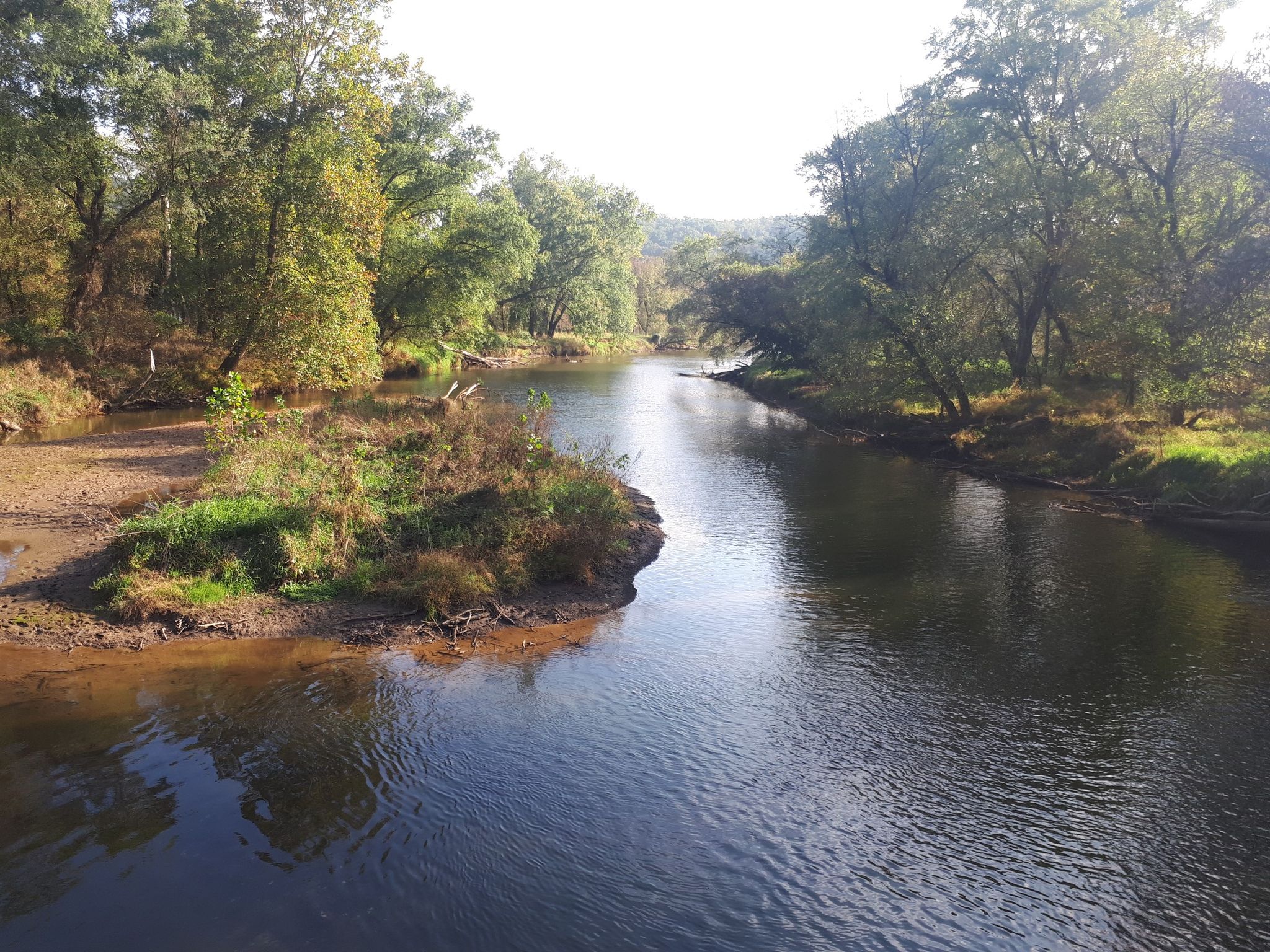 A wide river flows through a lush green forest on a bright day. - Torrey C. Brown Rail Trail