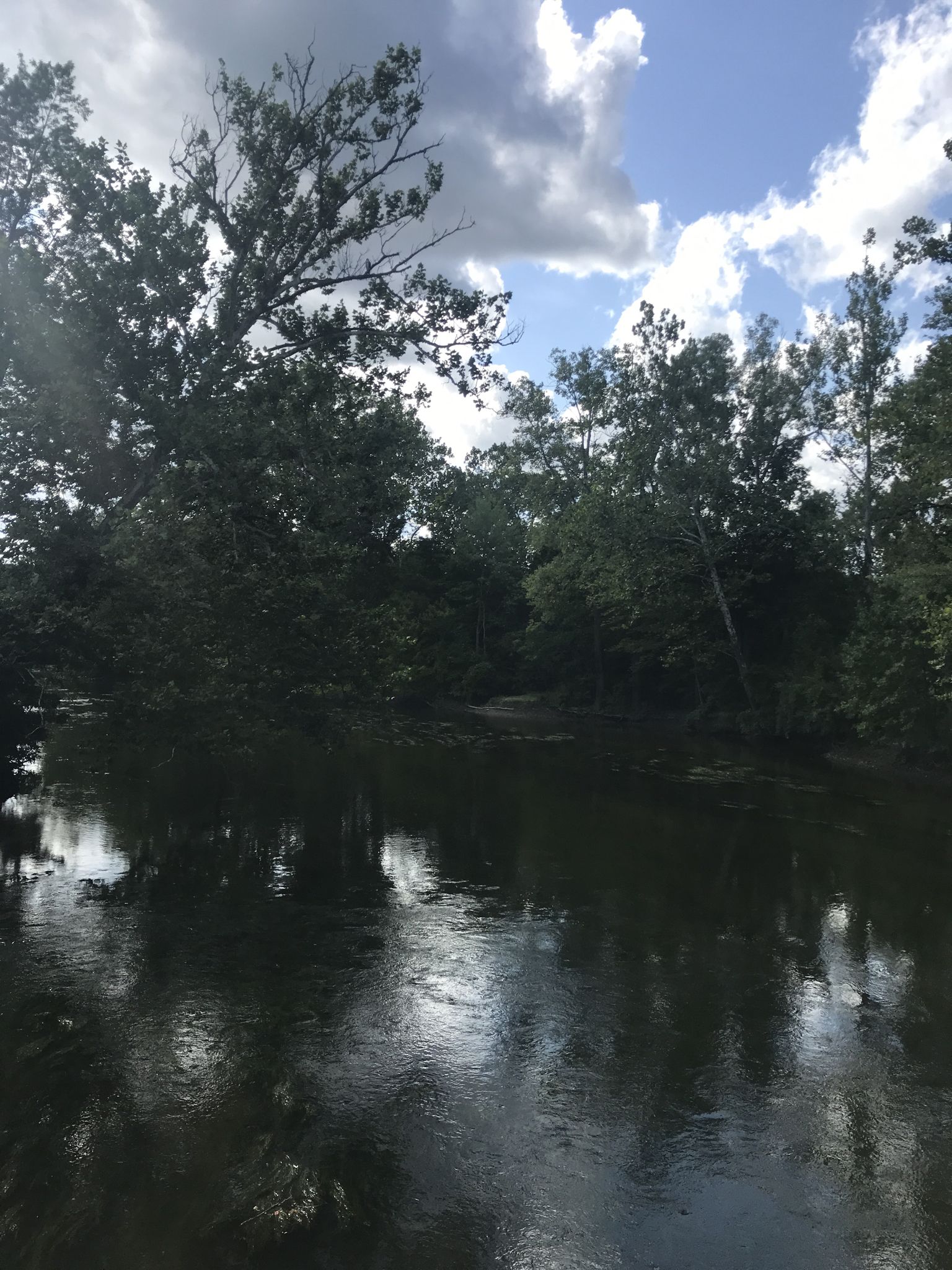 Dark river surrounded by dense green trees under a cloudy sky. - Lower Huron Metropark loop from New Boston