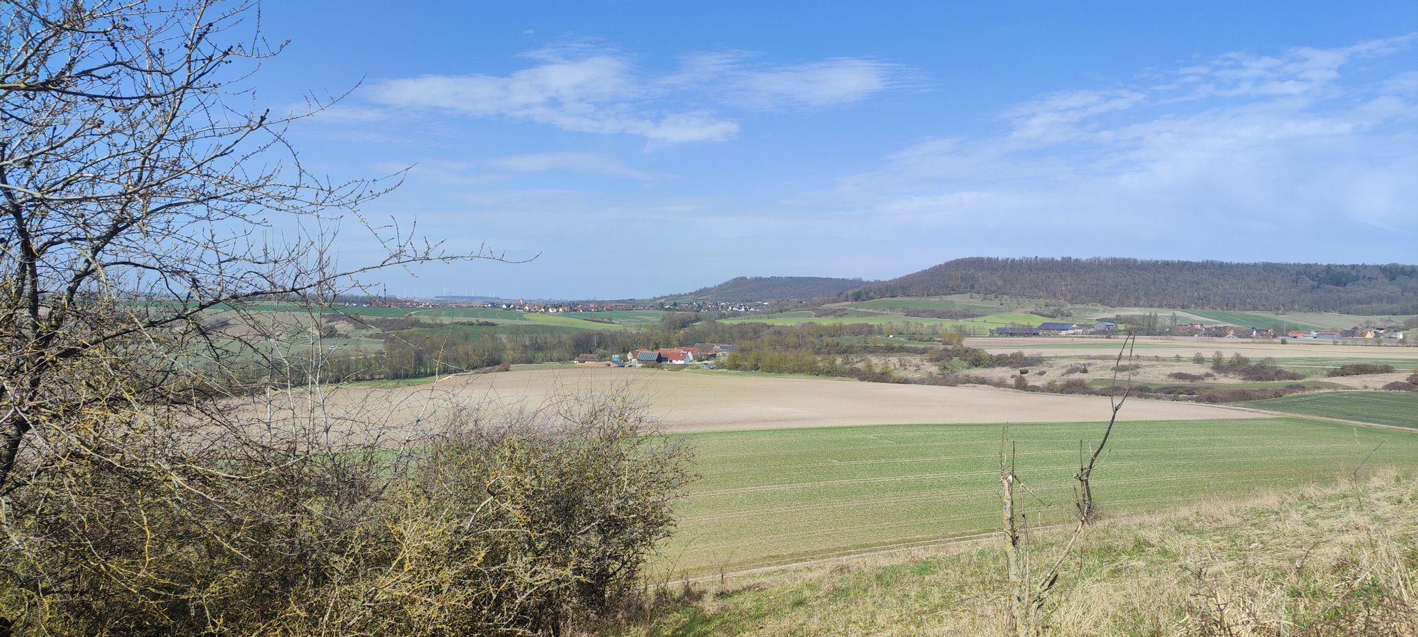 Schweinsdorfer Ranken