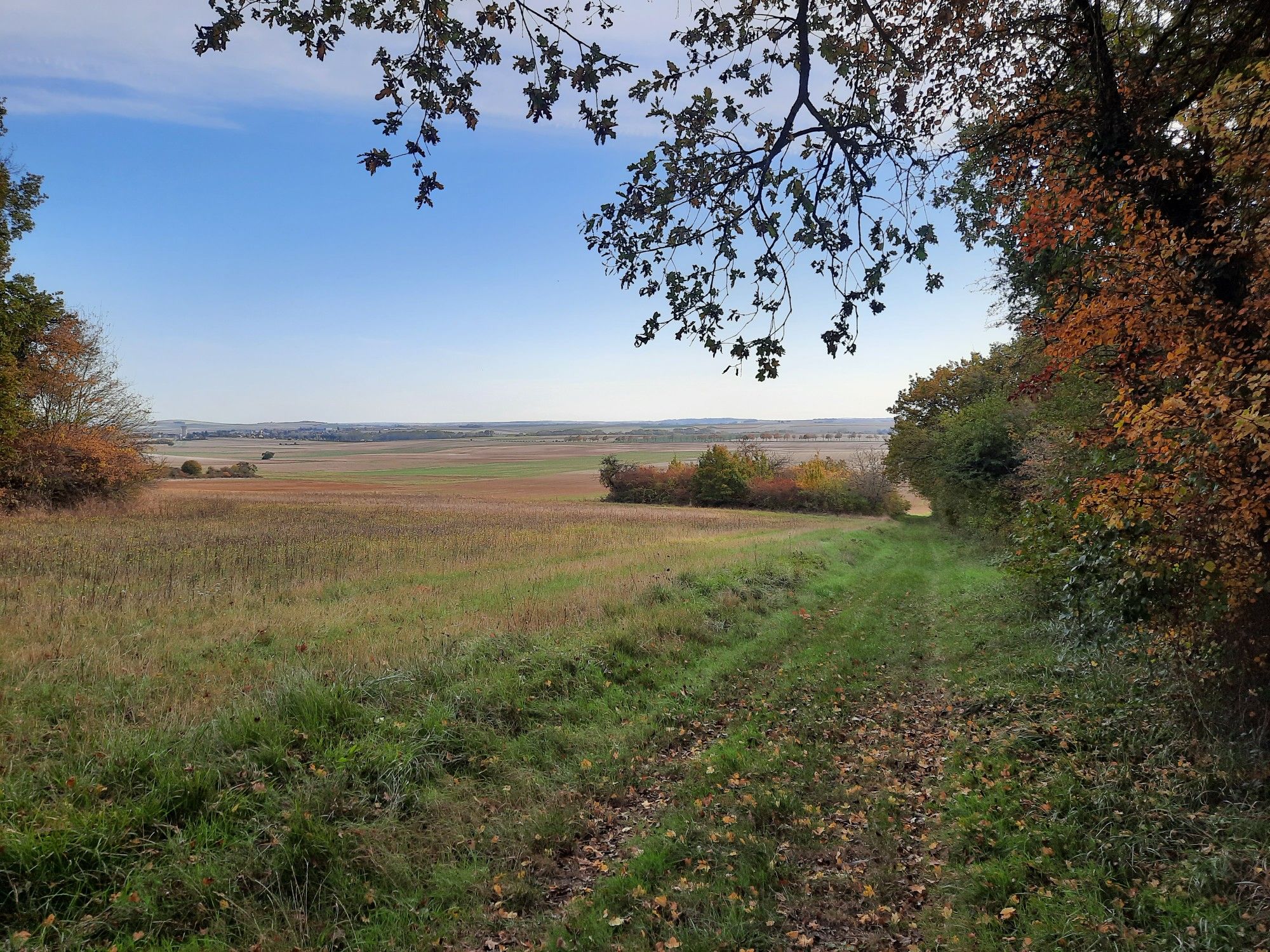 vue sur Alliant