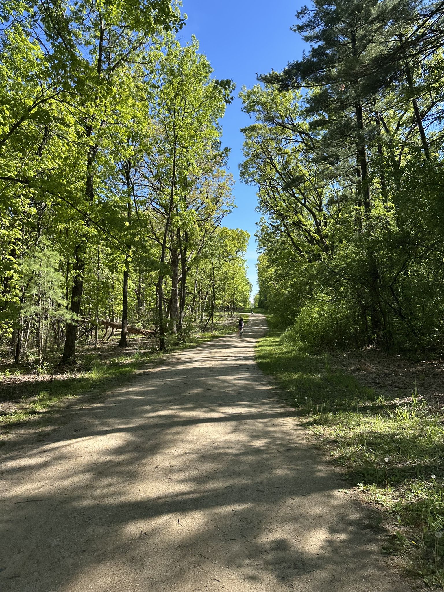 Wide dirt path through a sunlit forest with a person in the distance. - Millennium Trail – Millennium Trail loop from Millburn