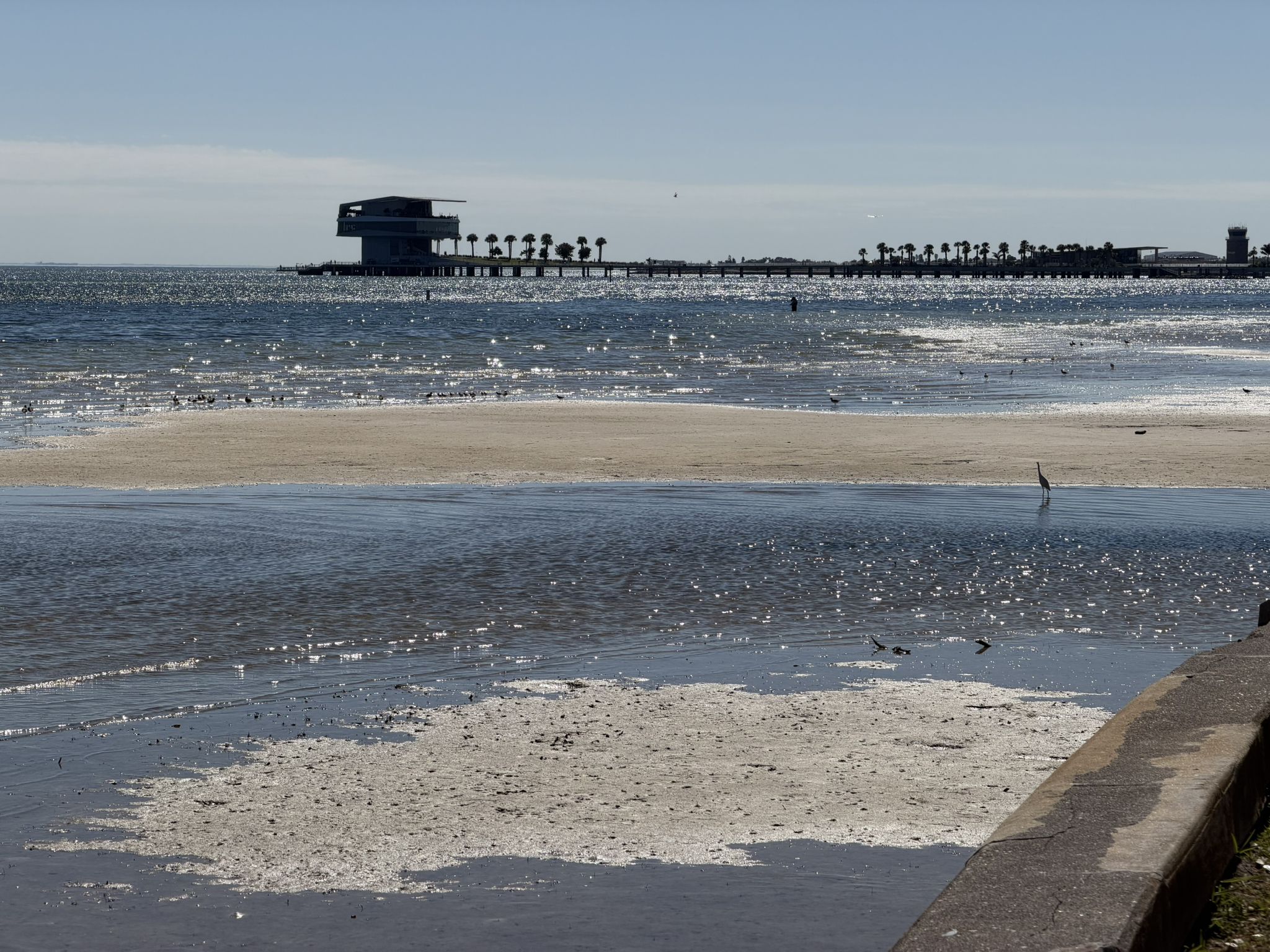 Large building on a pier over water, with sandy shallows in foreground. - View of St. Pete Pier – Beach at North Shore Park loop from Saint Petersburg
