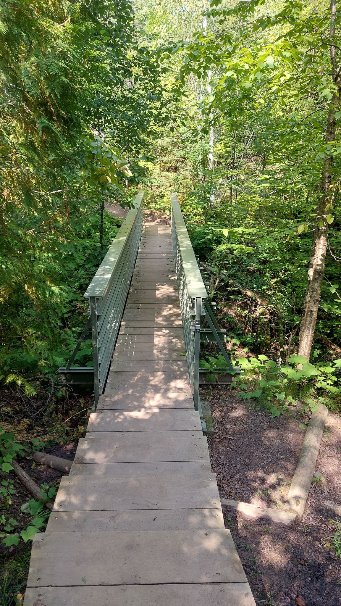 Wooden and metal bridge in a sun-dappled green forest, leading into trees. - Meyers Beach loop from Saxine Creek Habitat Area