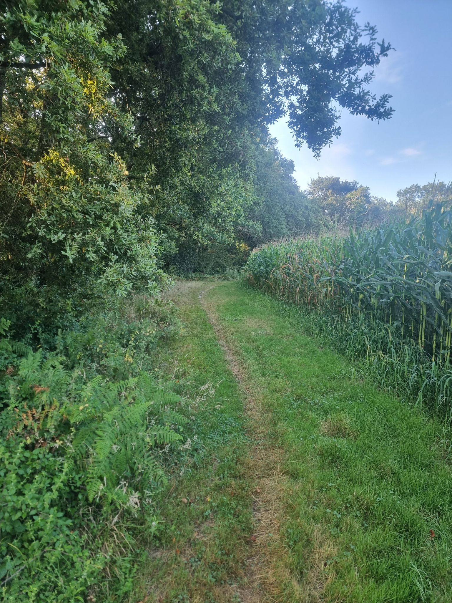 presque à Biarrote