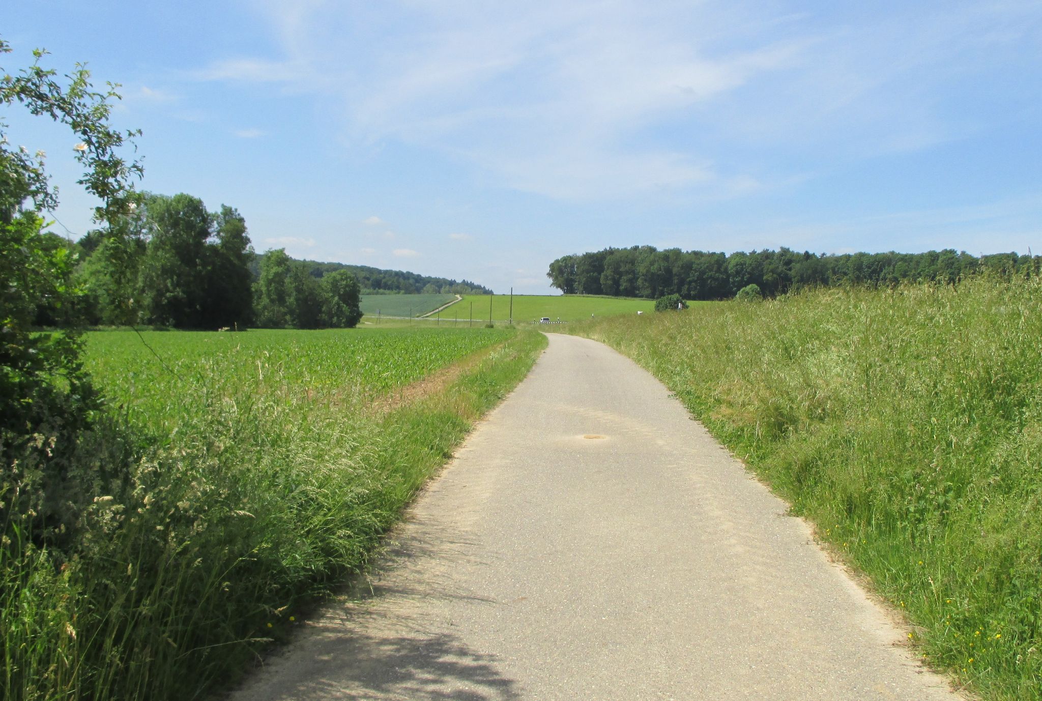 Radweg nach Aglasterhausen