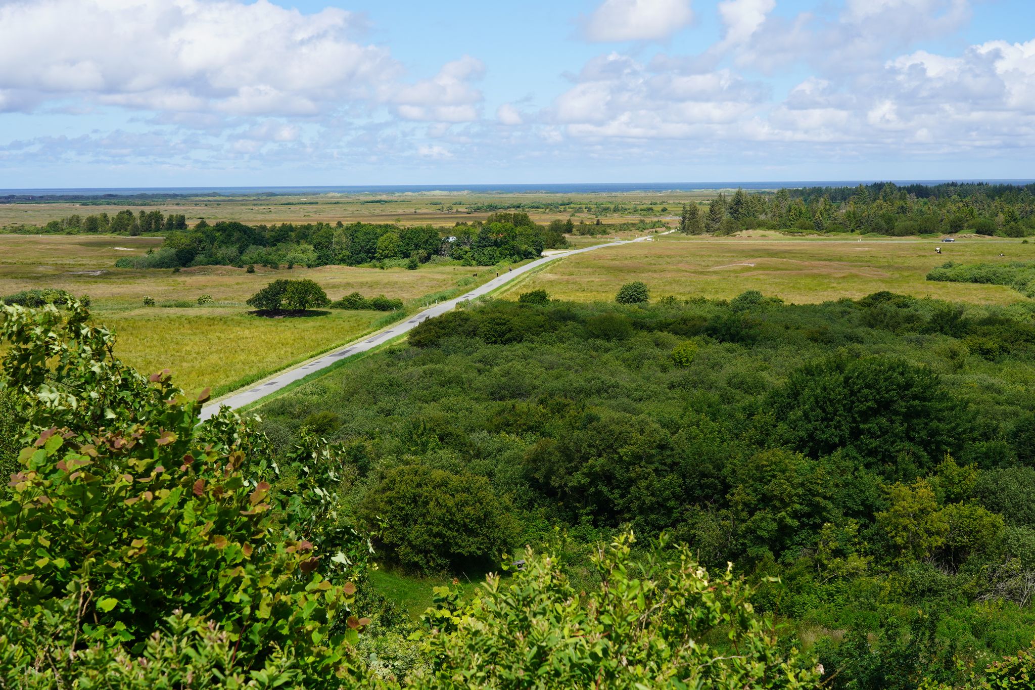 Blick zur Nordsee