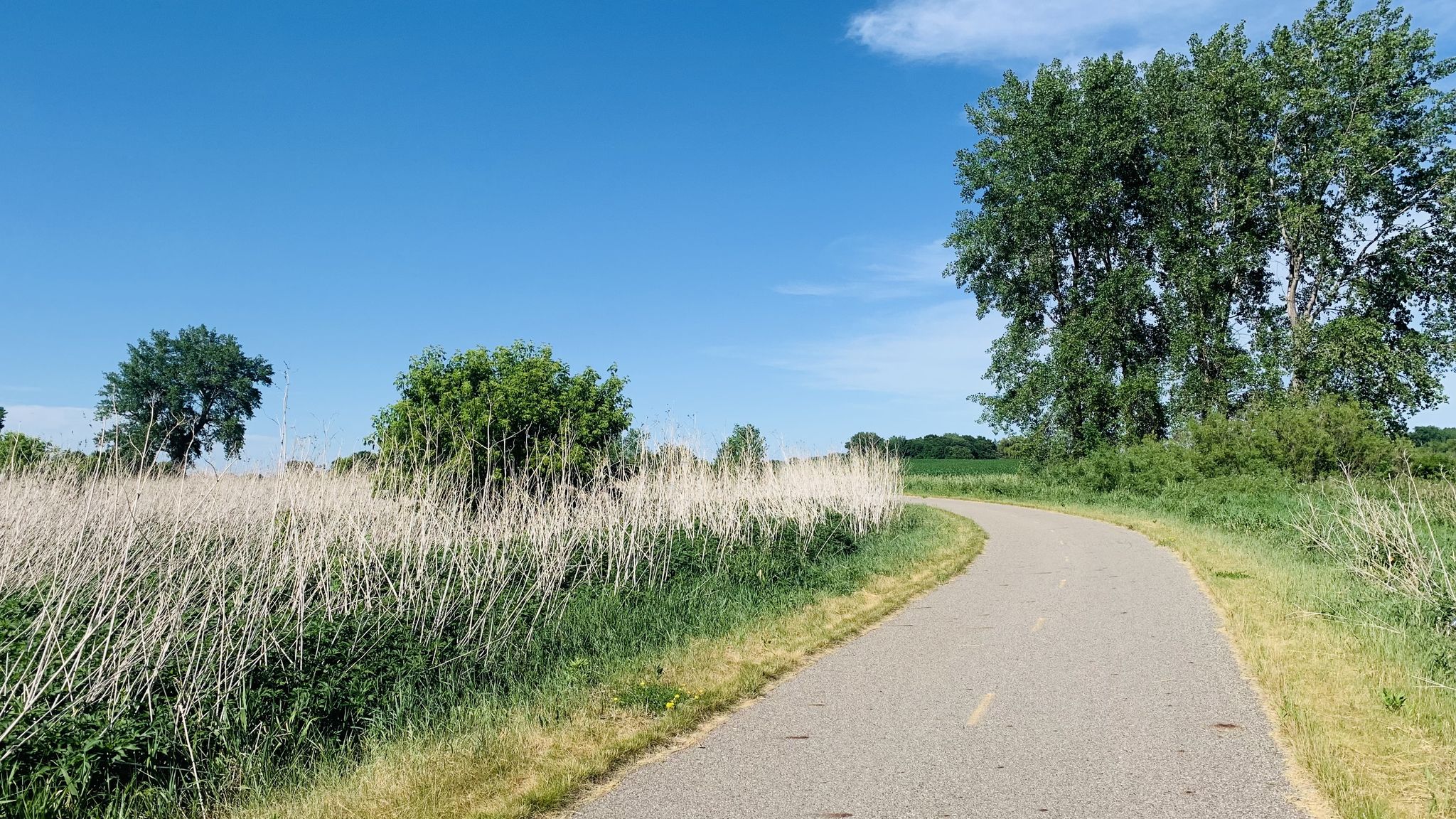 Paved path winding through tall dry grass and green trees. - Small Bridge – Paved Luce Line Trail loop from Silver Lake